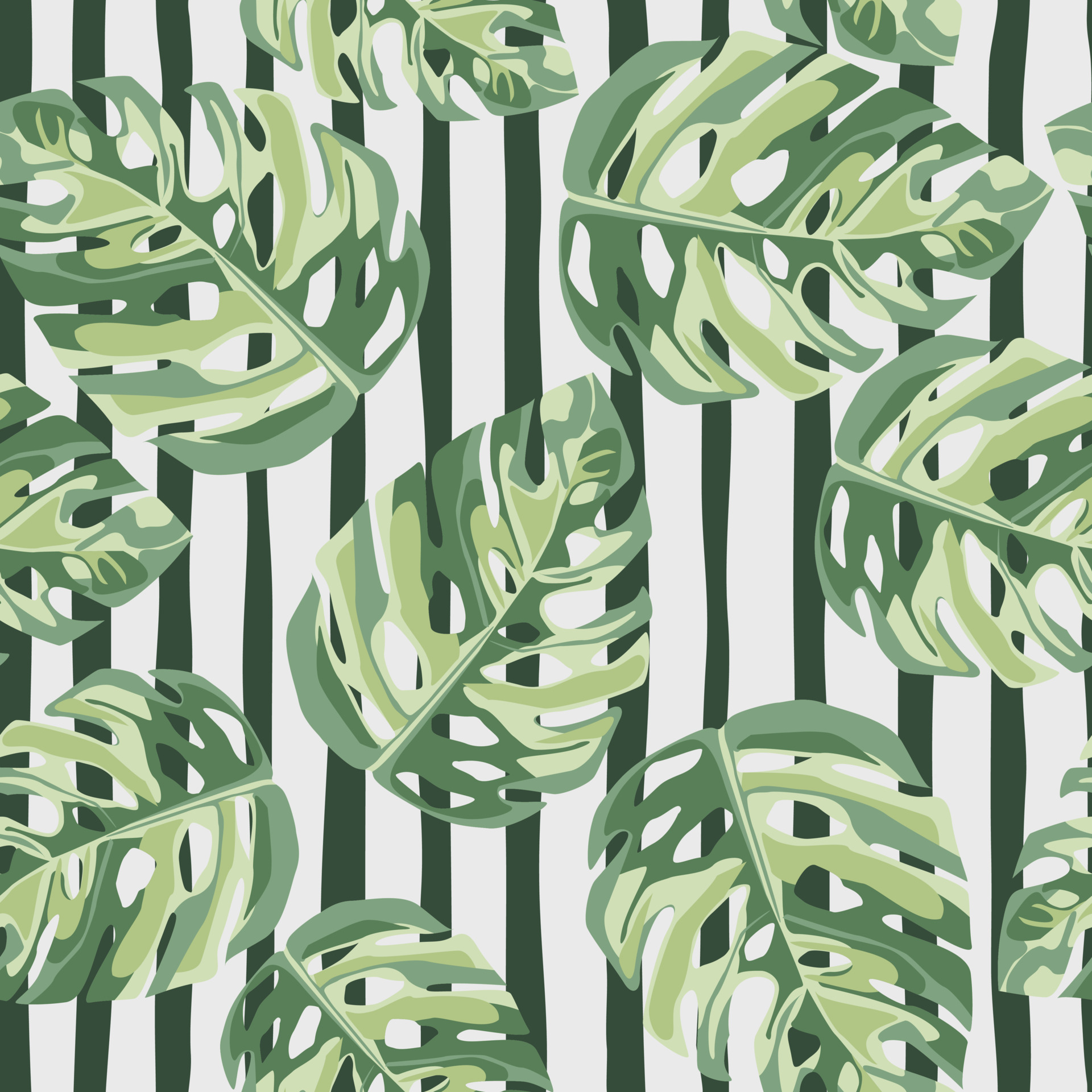 Green monstera leaves floral random seamless pattern. White background with black strips. Hand draw wallpaper