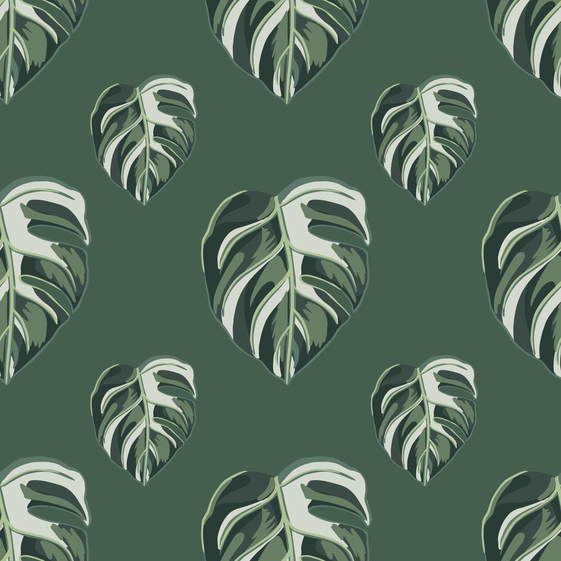 Monstera Leaf Wallpapers - Wallpaper Cave