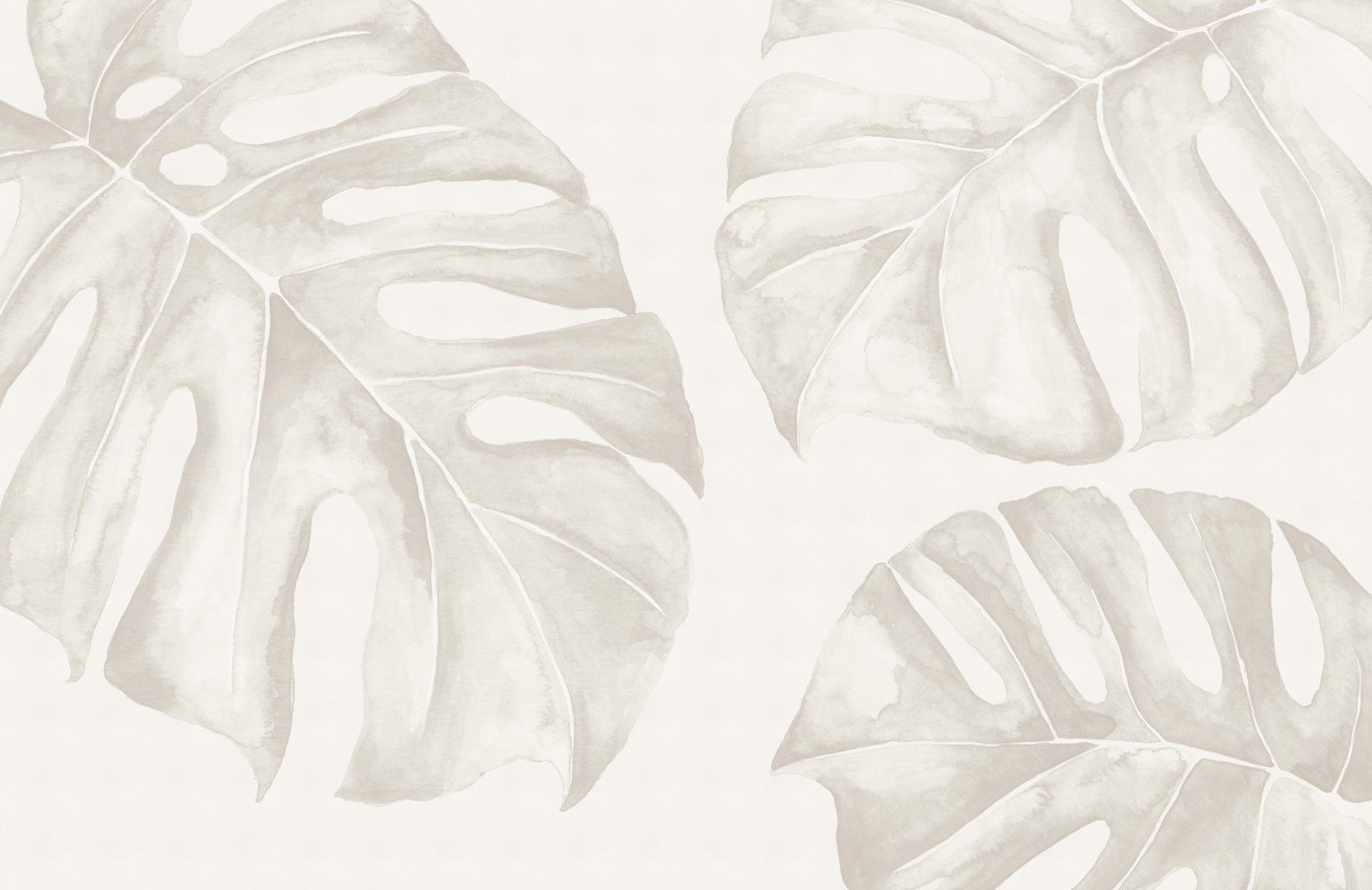 Monstera Leaf Wallpapers - Wallpaper Cave