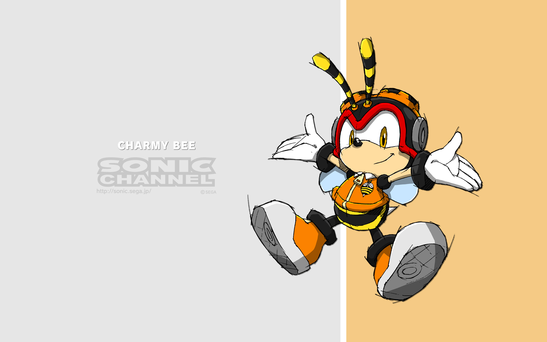 Charmy Bee HD Wallpaper and Background