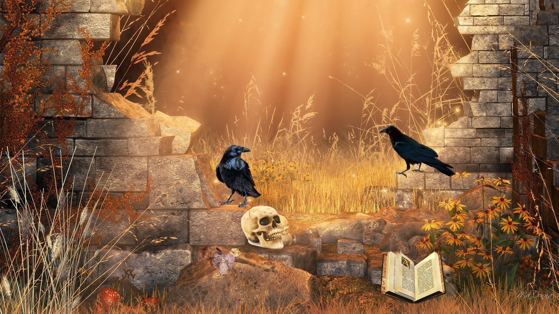 Autumn dawn gothic digital art morning crows raven wallpaper. Gothic wallpaper, Bird book, Wallpaper