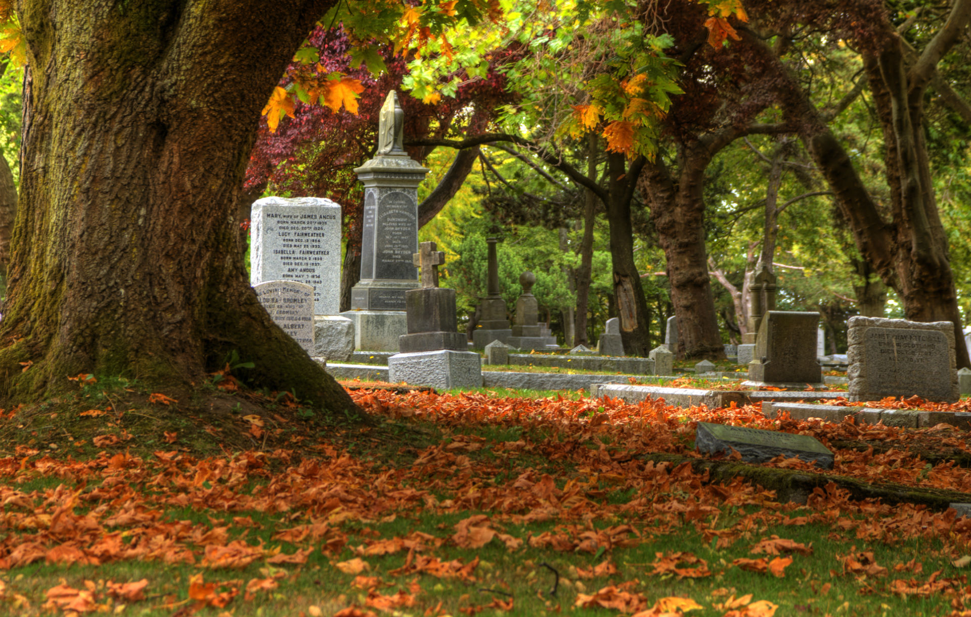 Cemetery grave headstone gothic trees leaves autumn fall wallpaperx1221