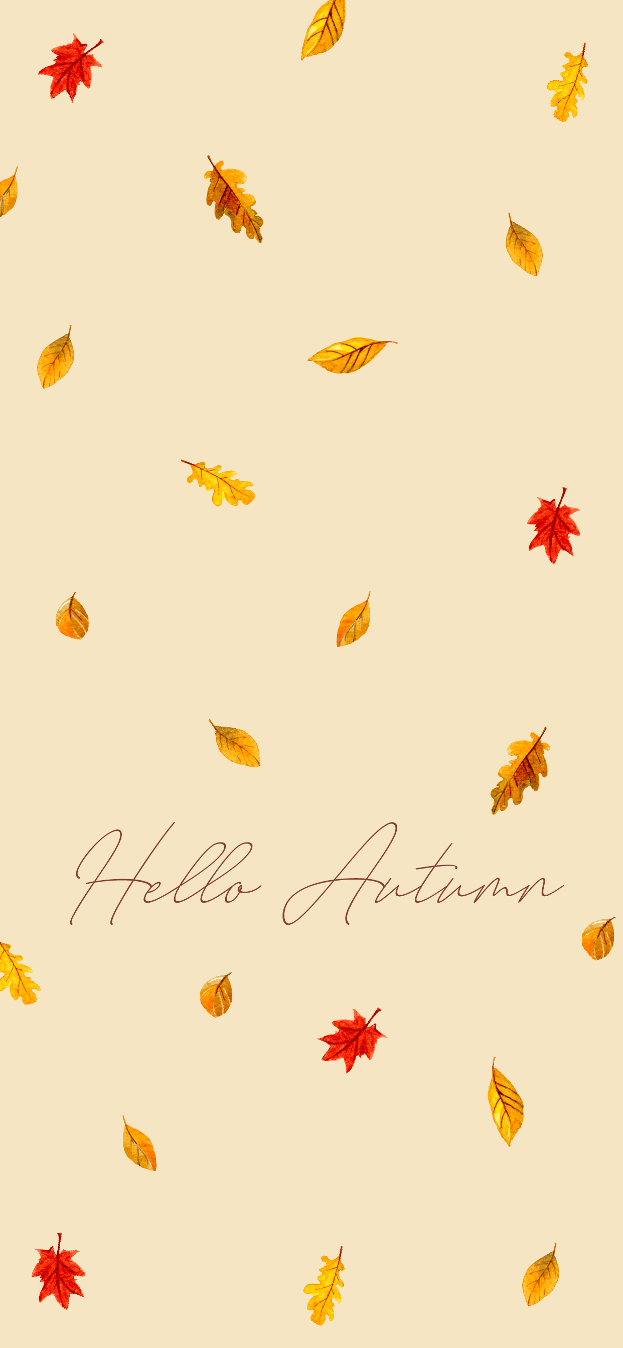 Thanksgiving Leaves Wallpaper