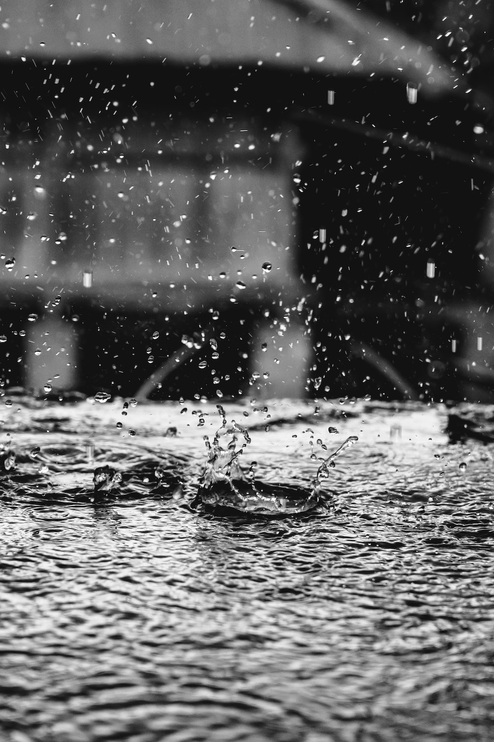 Rain Drop Picture [HD]. Download Free Image