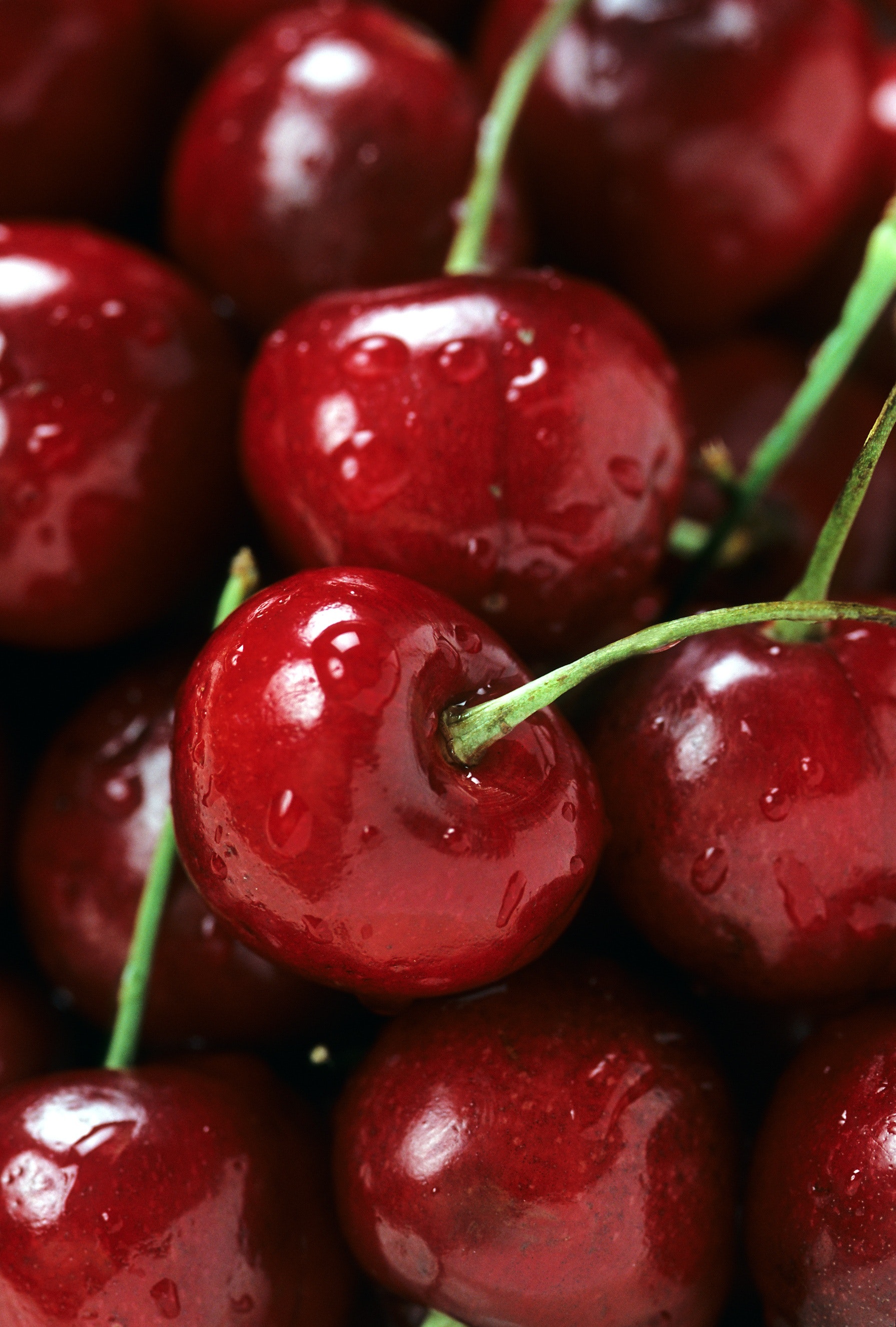Close Up Photo of a Cherry Fruits · Free