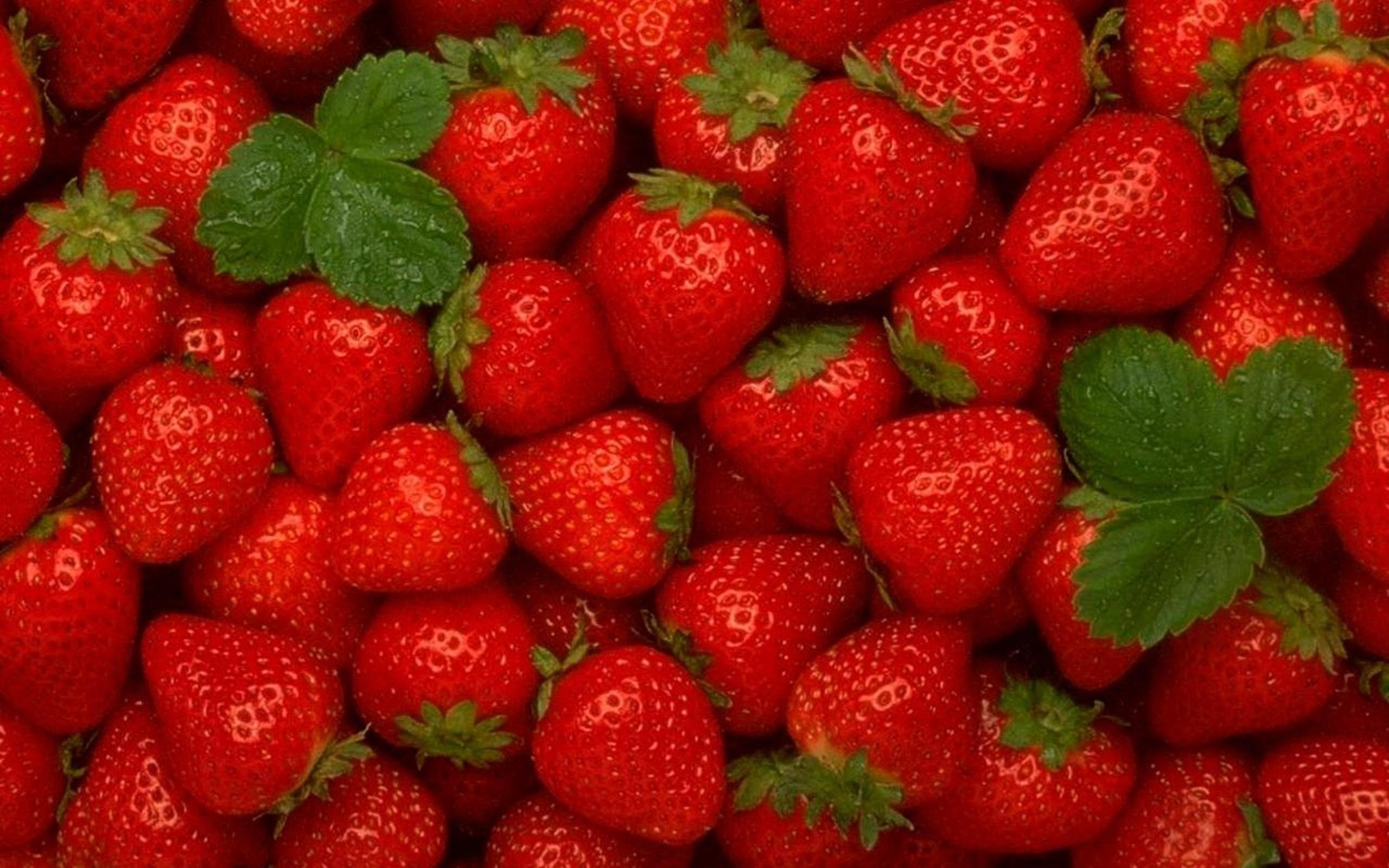 red, Fruits, Summer, Strawberries Wallpaper HD / Desktop and Mobile Background