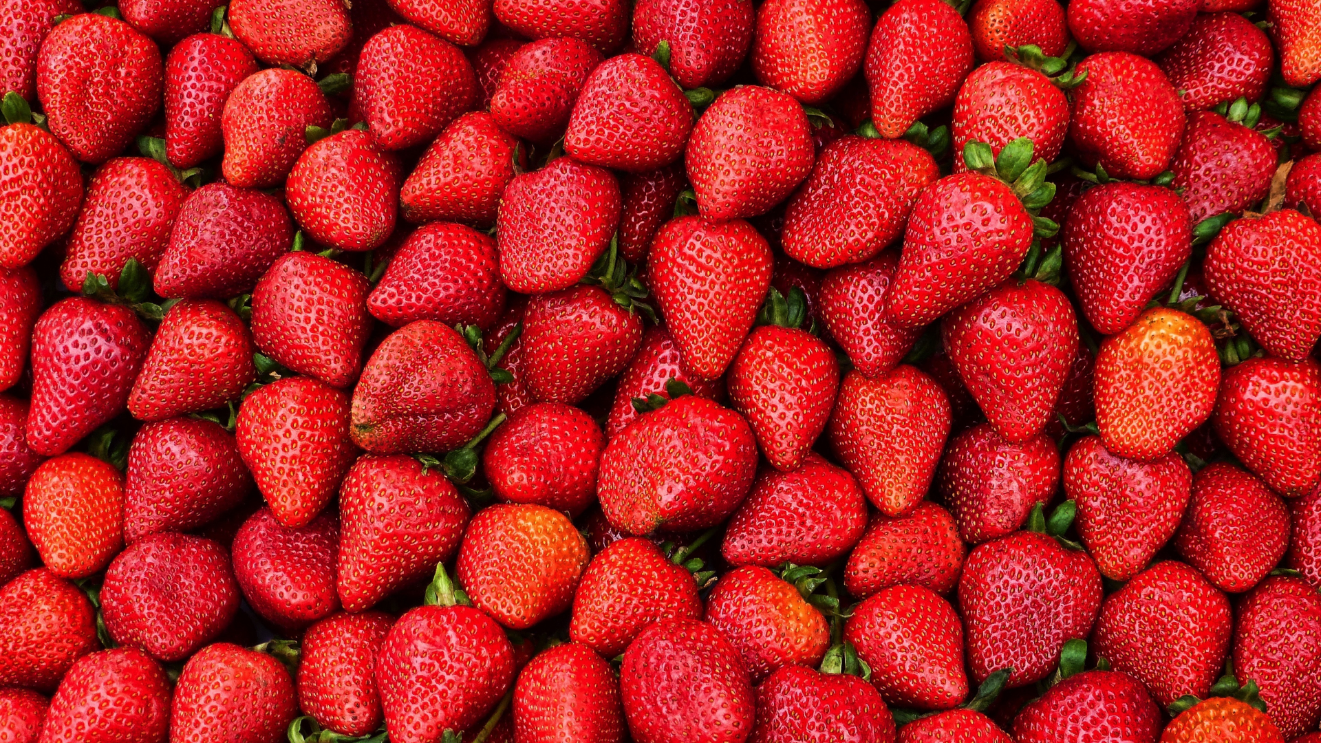 Download wallpaper 1920x1080 strawberries, berries, fruit, red, full hd, hdtv, fhd, 1080p wallpaper, 1920x1080 HD background, 991