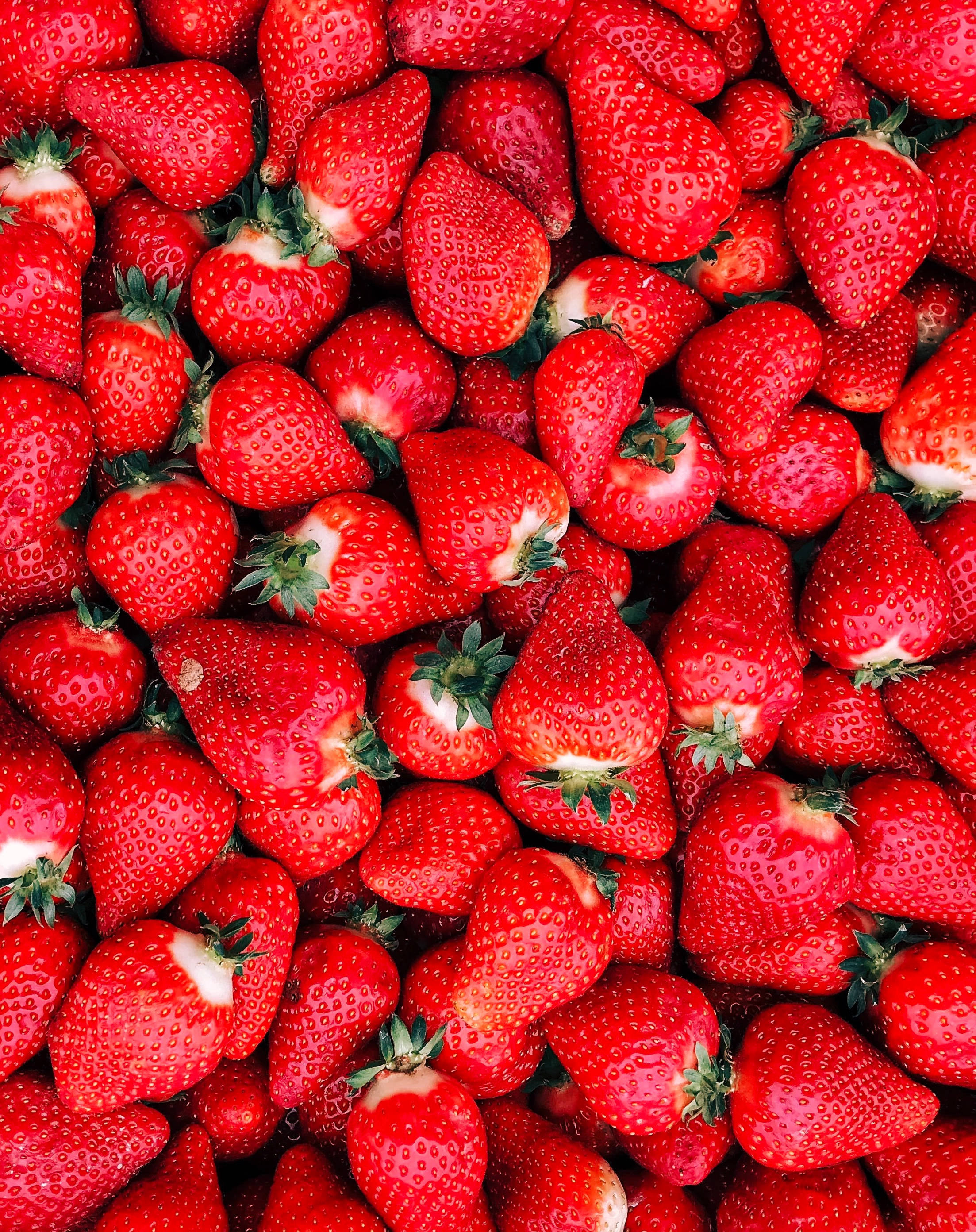 Download Red Strawberry Fruit Wallpaper