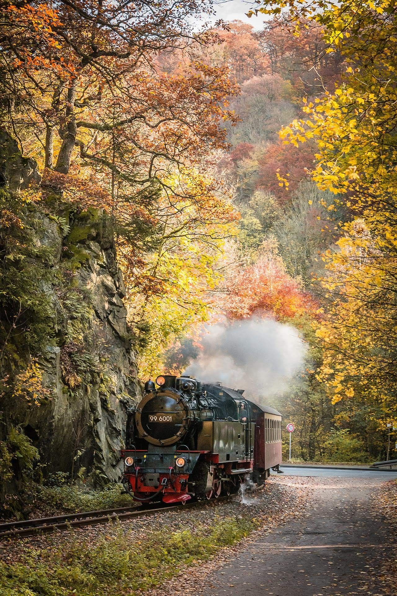 Steam Train Ride in the Fall. Steam trains photography, Steam train photo, Scenery