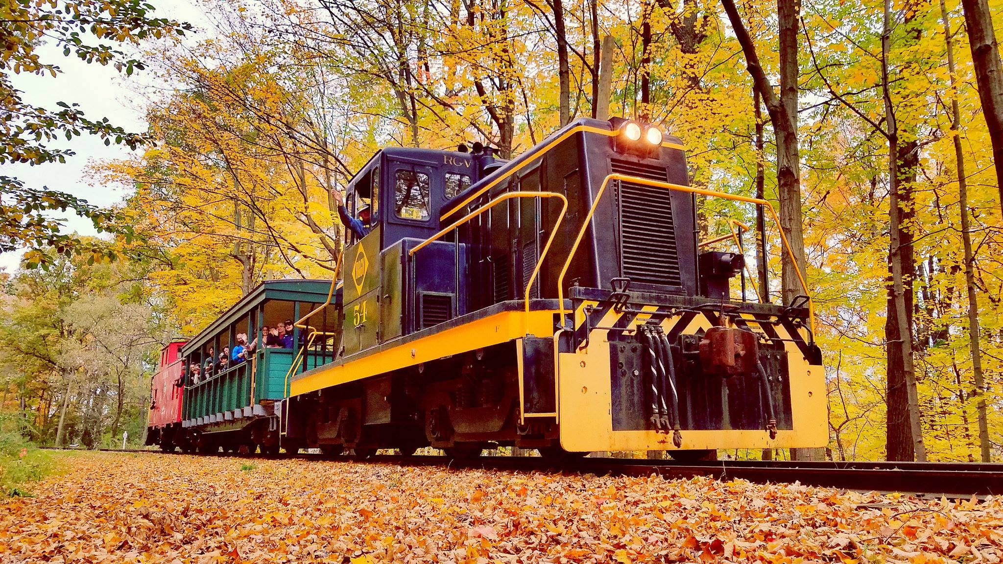 The Best Fall Foliage Train Rides Around Buffalo
