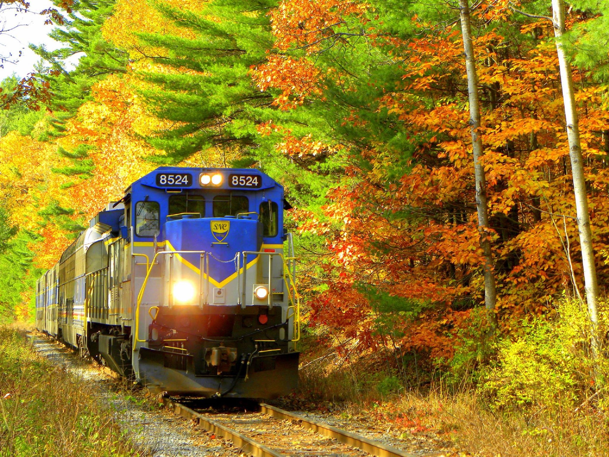 scenic train rides that are perfect for US leaf peeping Points Guy