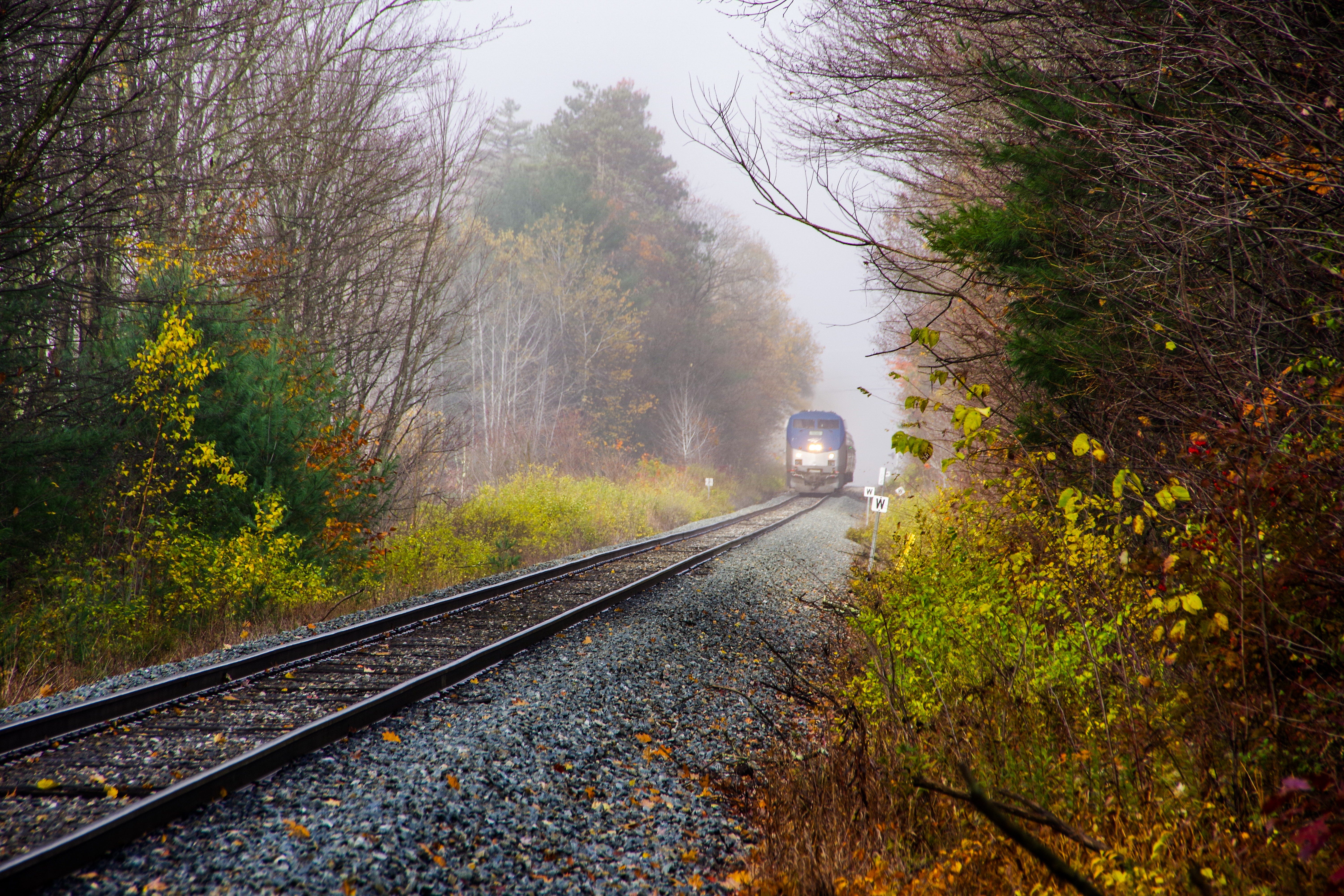 Family vacation ideas for fall: 10 best foliage train rides in the US