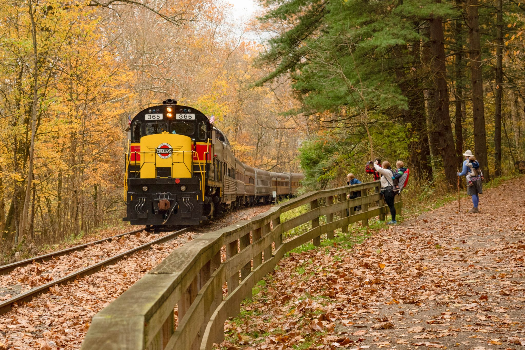 Revel In Sublime Fall Foliage On This Fall Train Ride In Ohio