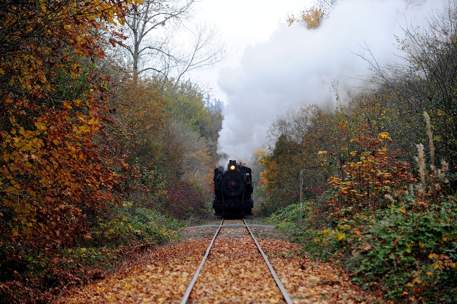 Chehalis Centralia Railroad To Hold Pumpkin Train Rides In October. The Daily Chronicle