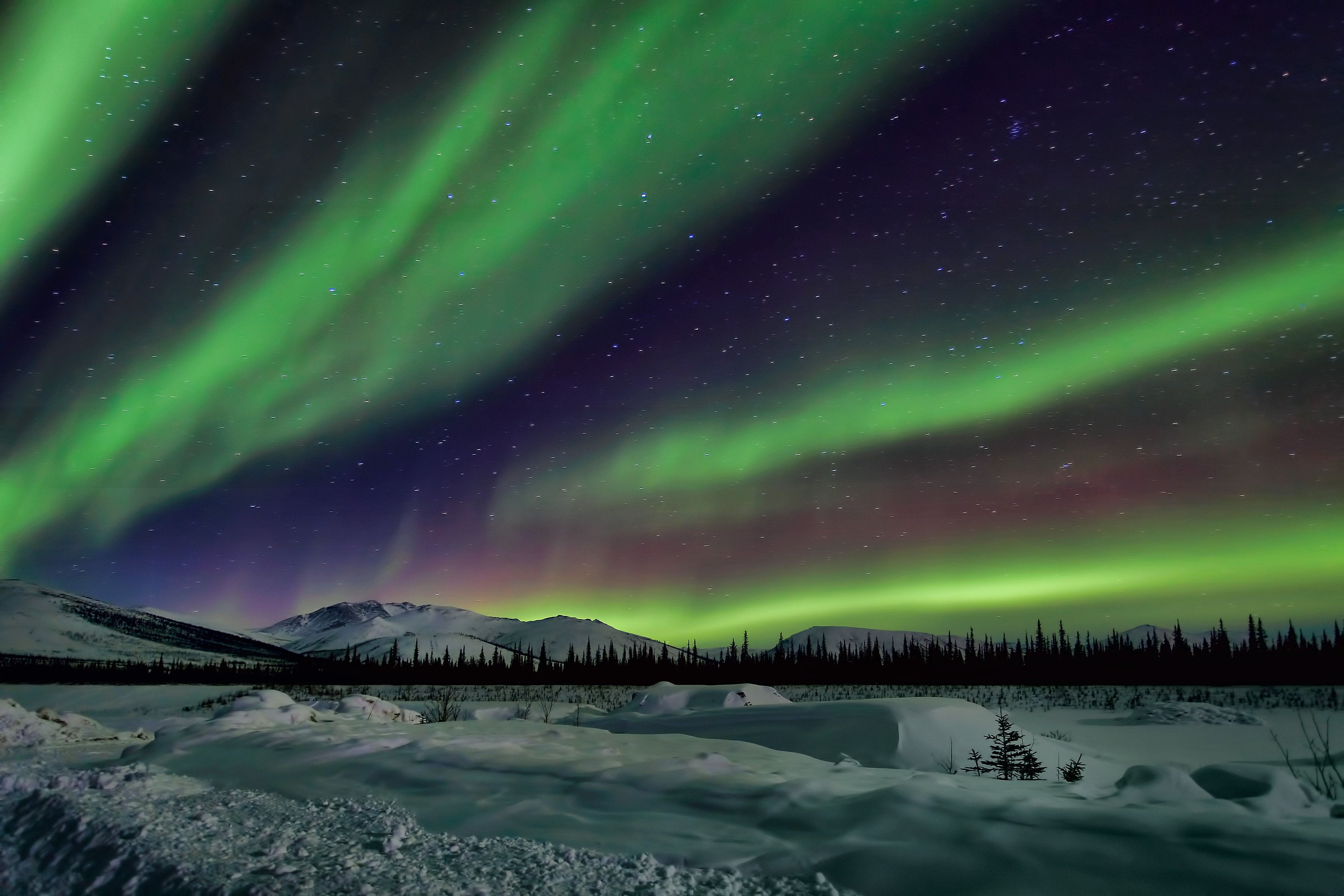 northern, Lights, Sky, Night, Winter, Star Wallpaper HD / Desktop and Mobile Background