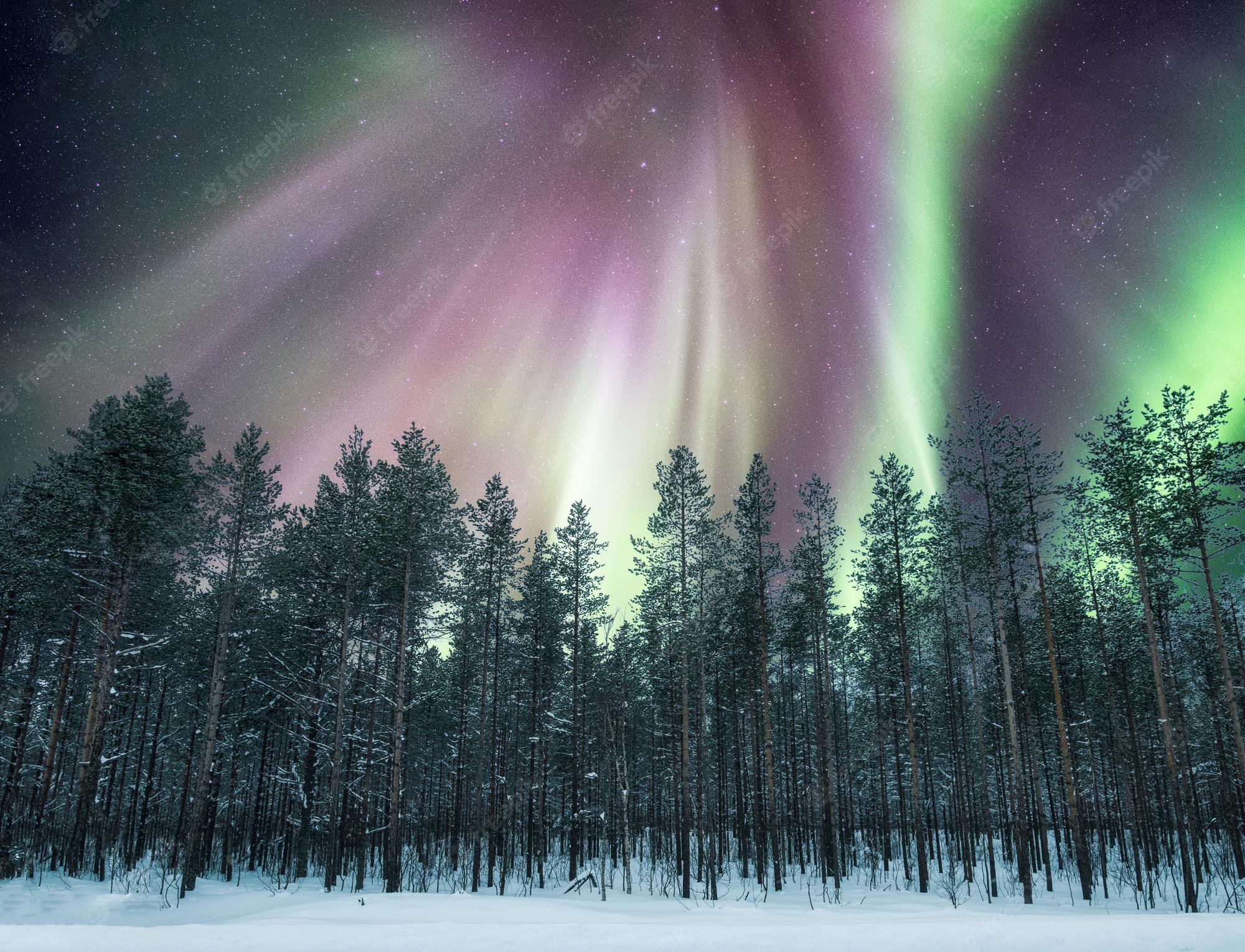 Northern Lights Picture