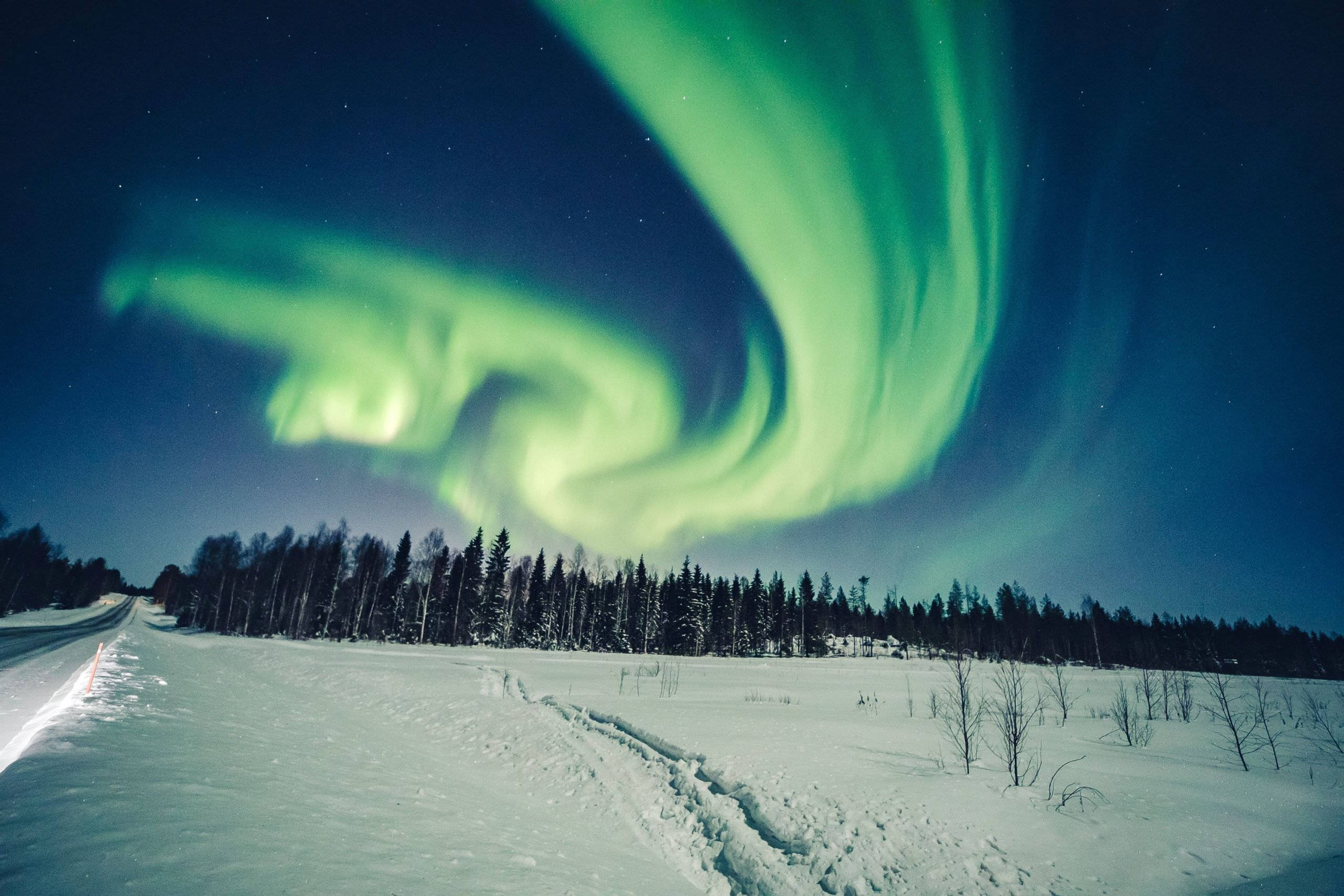 Download Winter Season Aurora Borealis Wallpaper