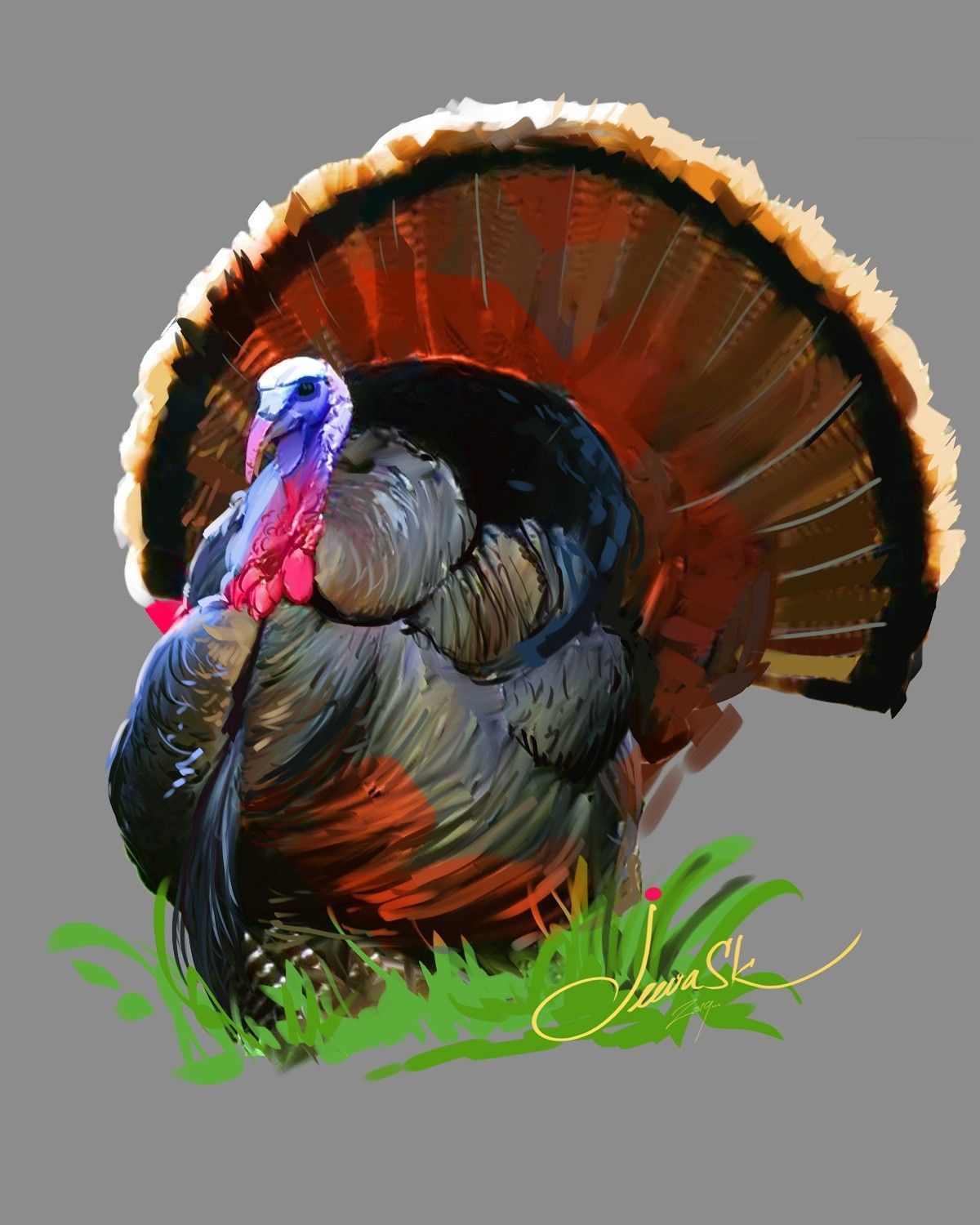 Wild Turkey bird. Turkey painting, Turkey art, Turkey bird