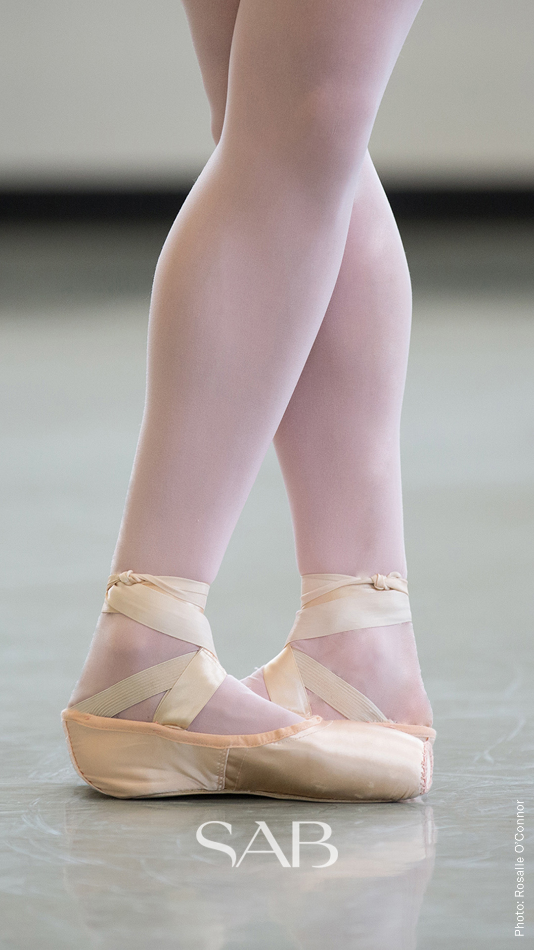 SAB Digital Download