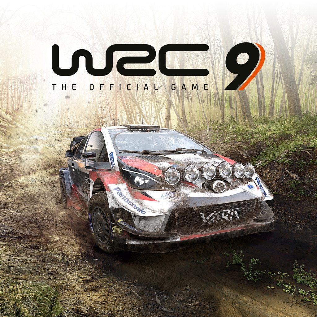 Wrc 9 fia world rally championship в стиме фото 14