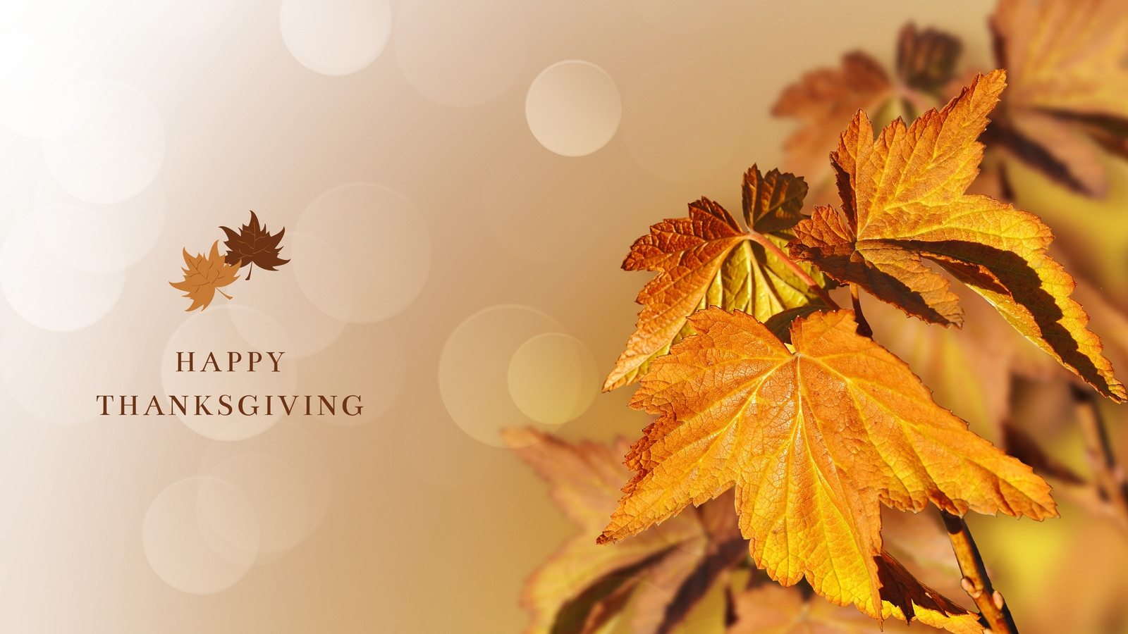 Aesthetic thanksgiving pc wallpapers wallpaper cave