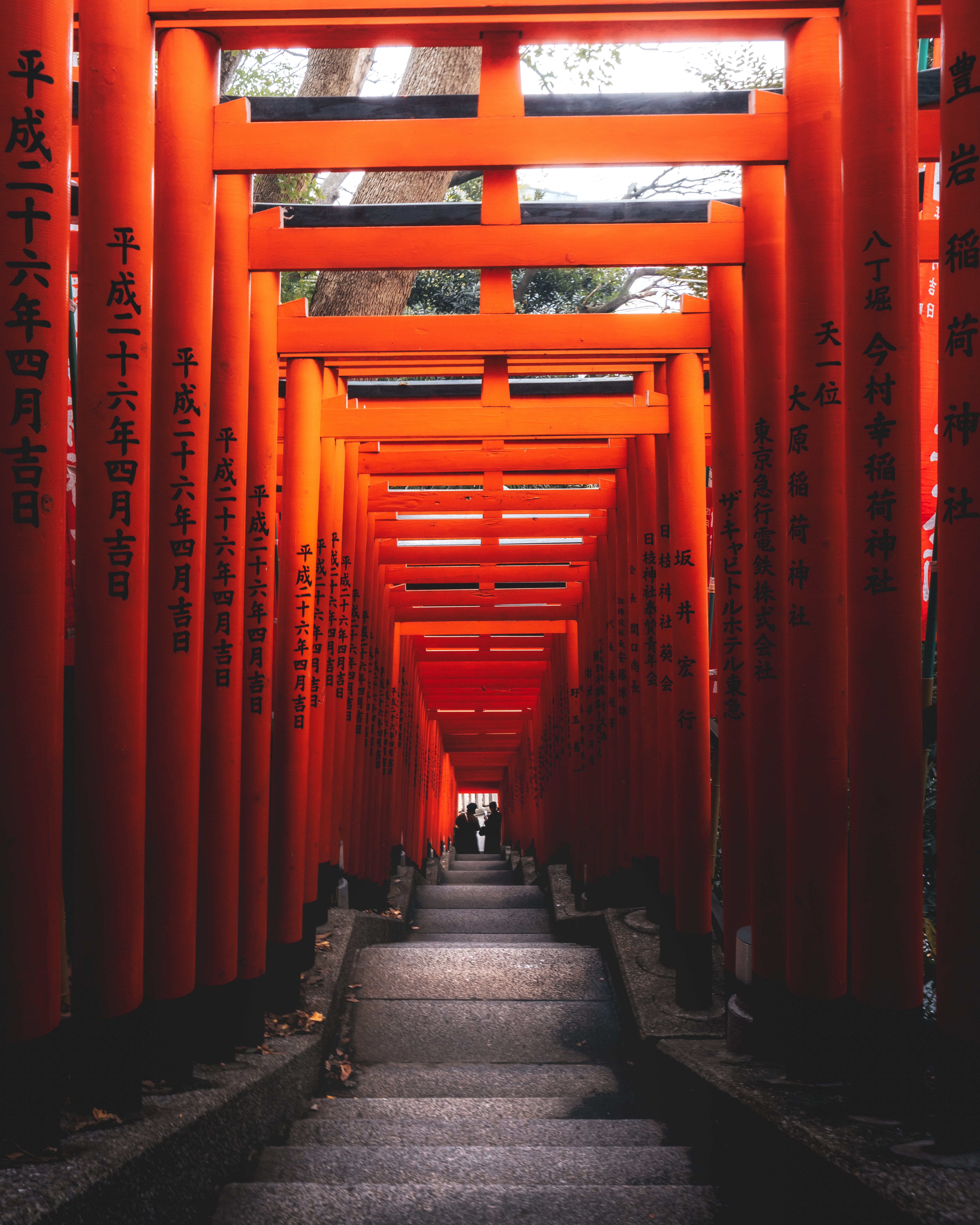 Photo of Walkway Between Shinto Shrine · Free