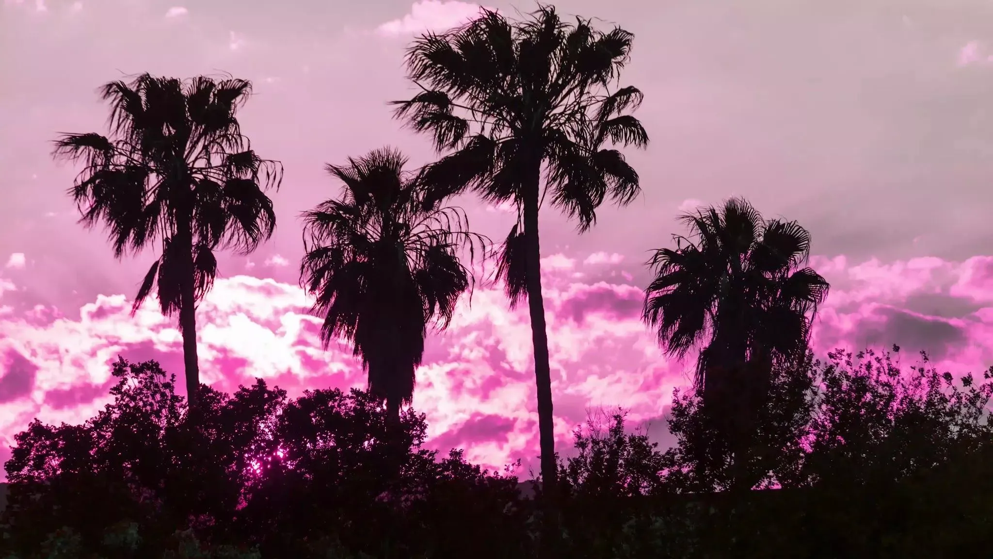 Black pink wallpaper in 4k resolution