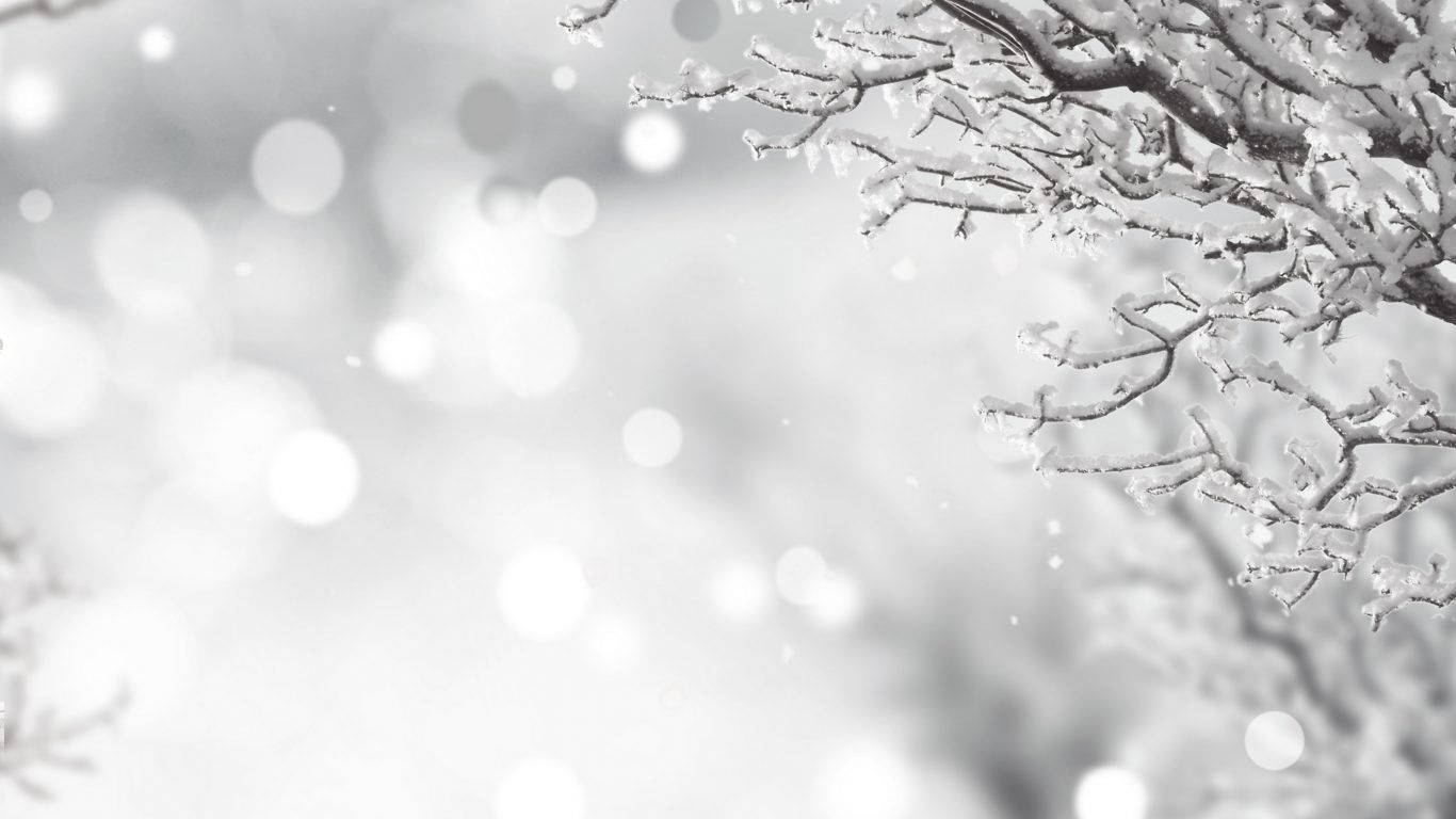 Download White Christmas In Winter Wallpaper
