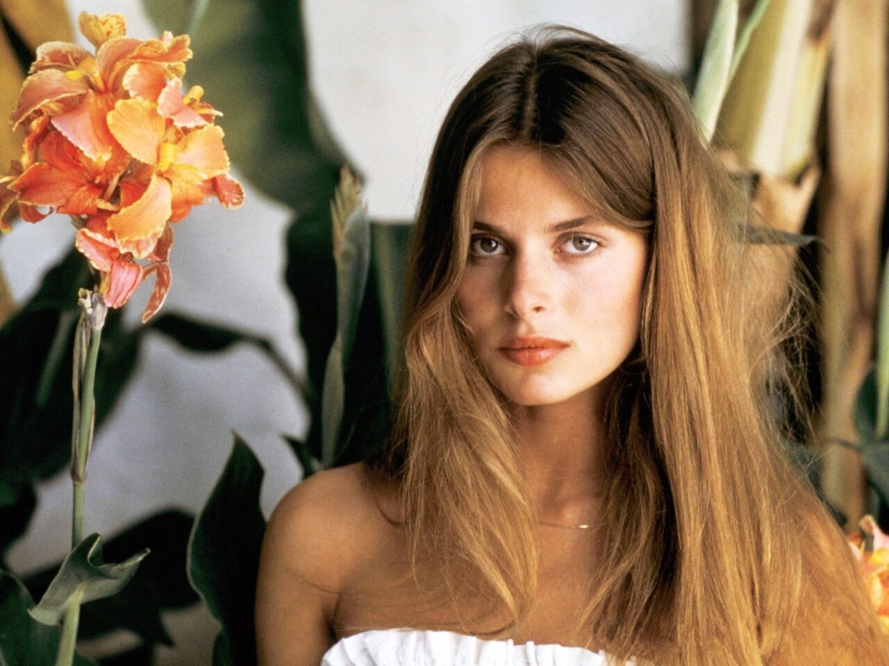 Nastassja Kinski wallpaper