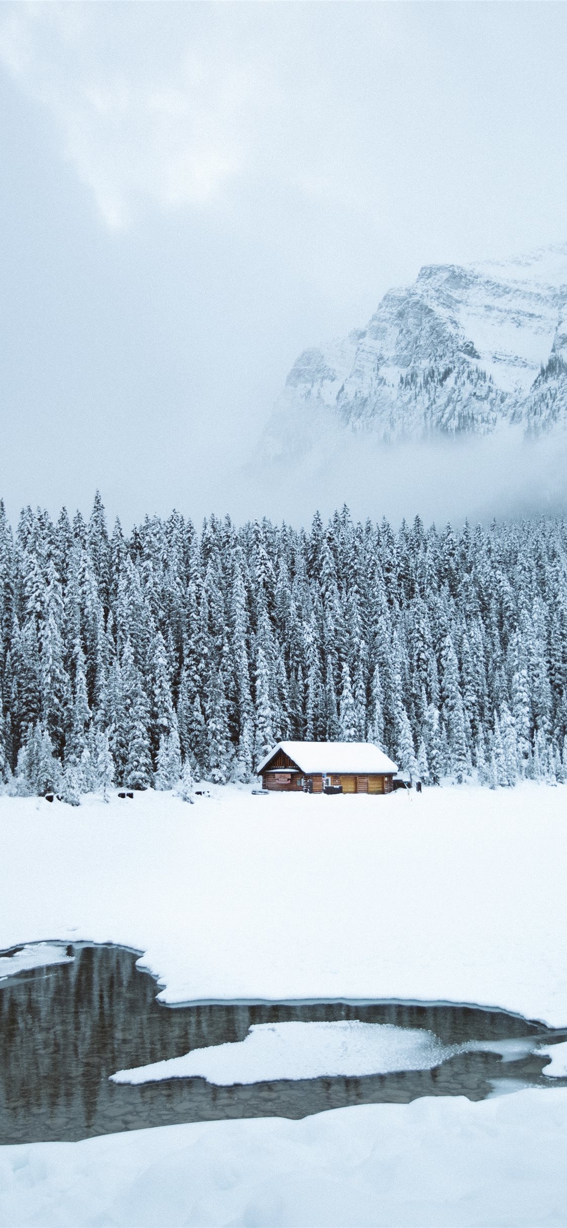 brown shack beside forest during snow