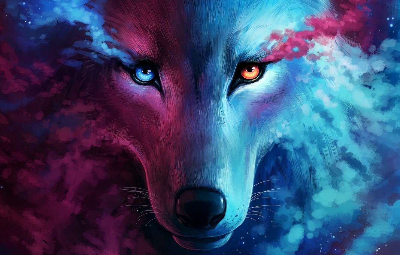 Wallpaper look, face, wolf image for desktop, section фантастика