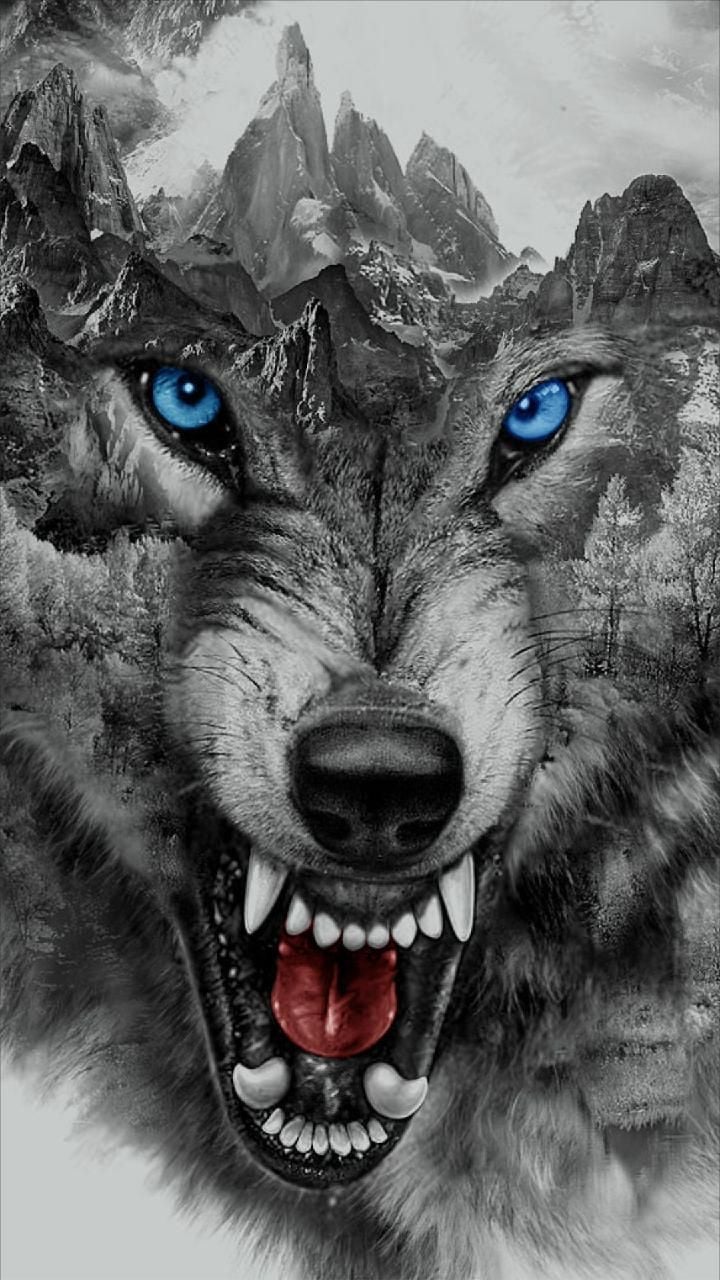 Angry Wolf Face Wallpaper Free Angry Wolf Face Background