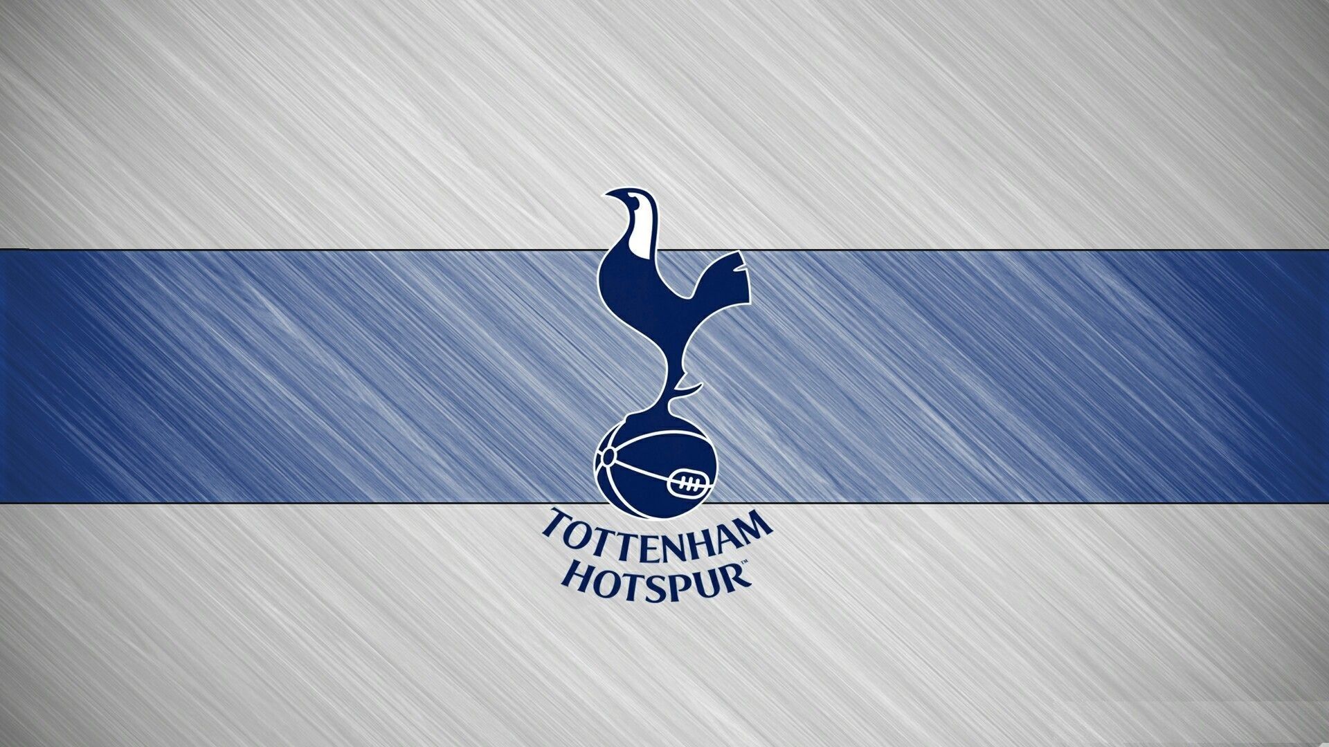 2022 2022 champions spurs wallpaper desktop