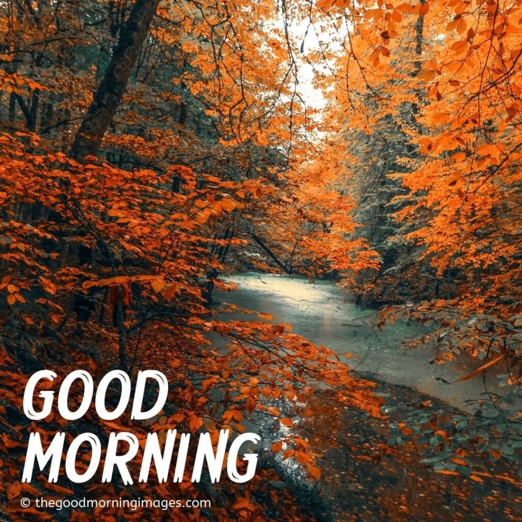 Sunny Autumn Morning Wallpapers - Wallpaper Cave