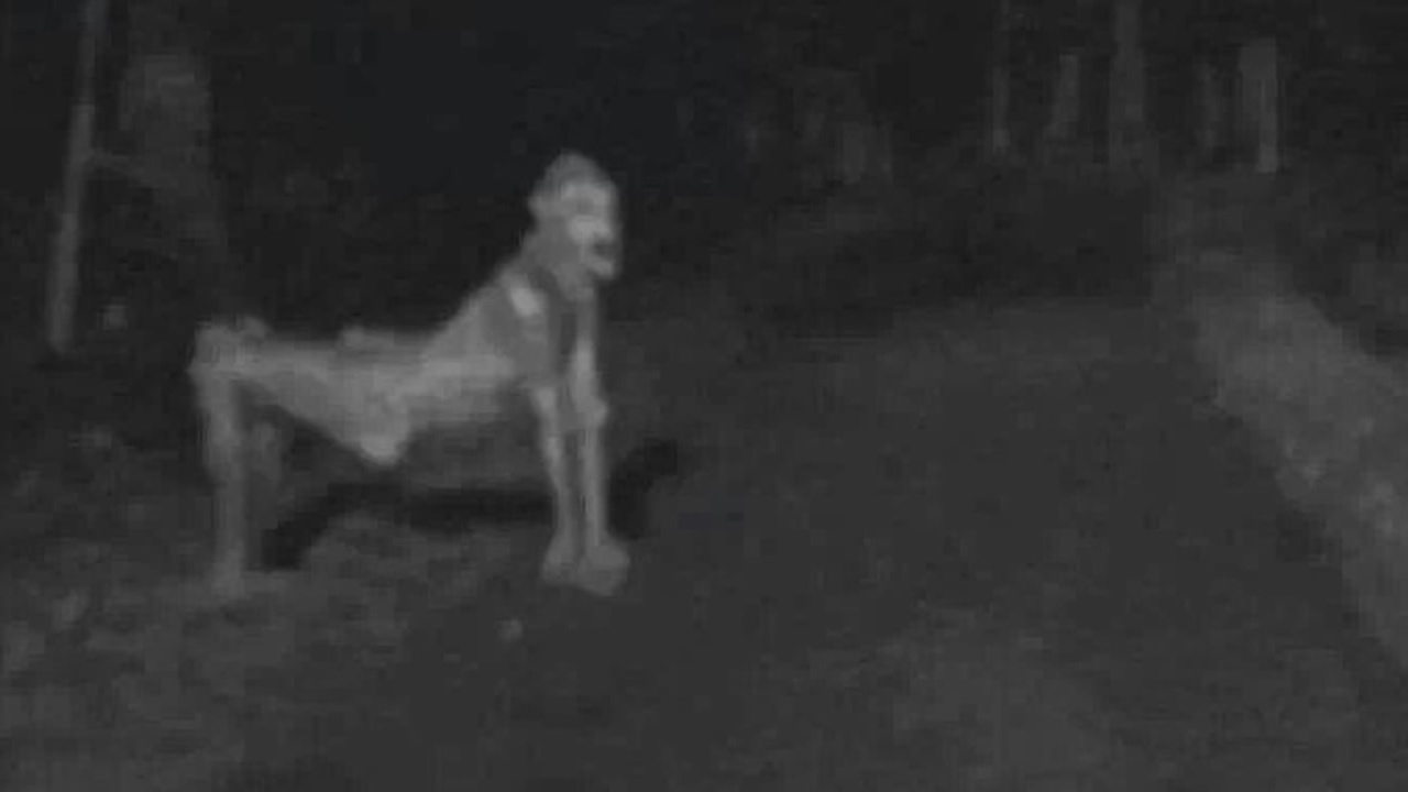Recent NM 'skinwalker' photo ignites fear