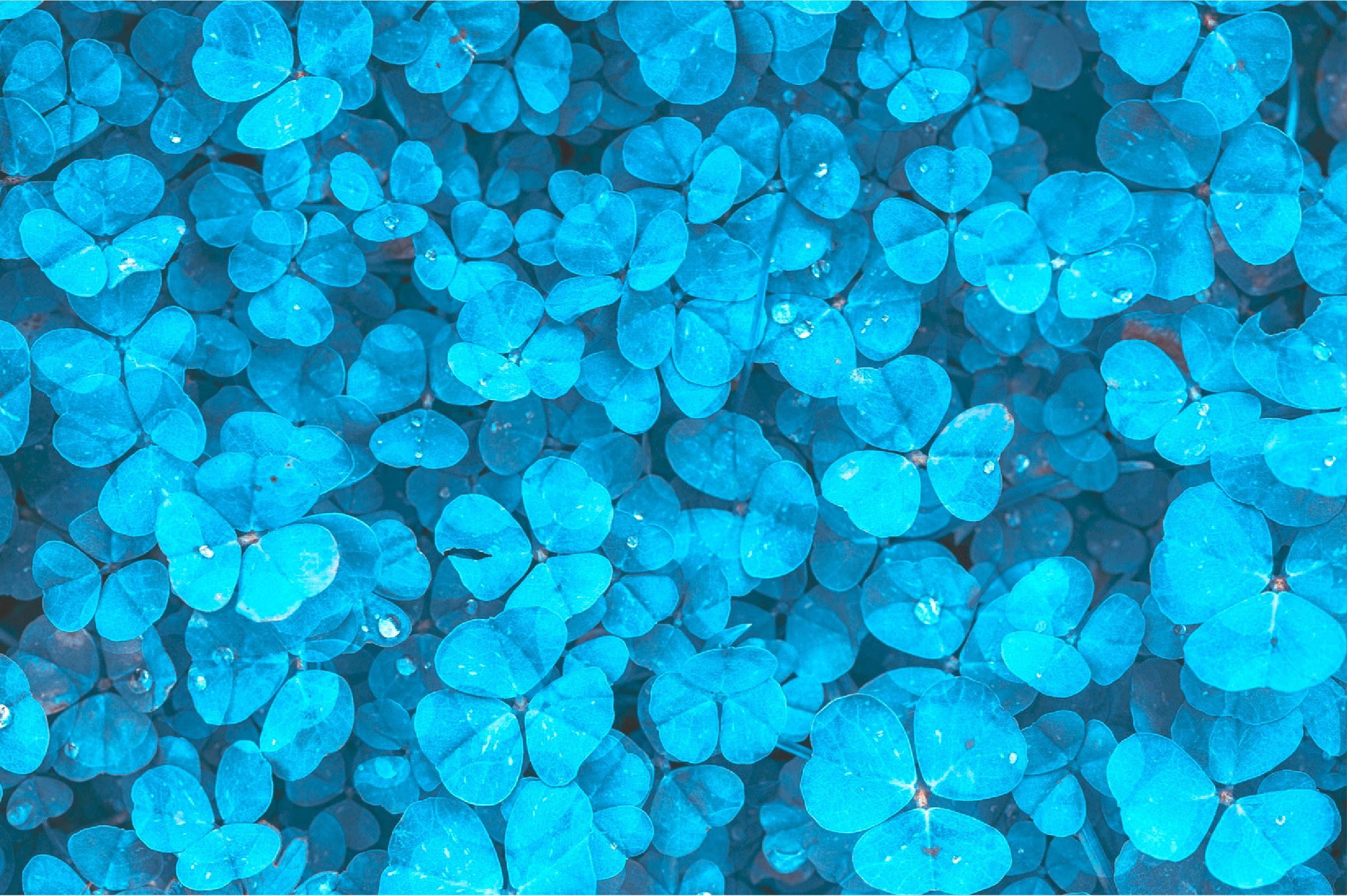 Blue. cyan Leaves Background HD Wallpaper Graphic by ItalianvintagDesigns · Creative Fabrica