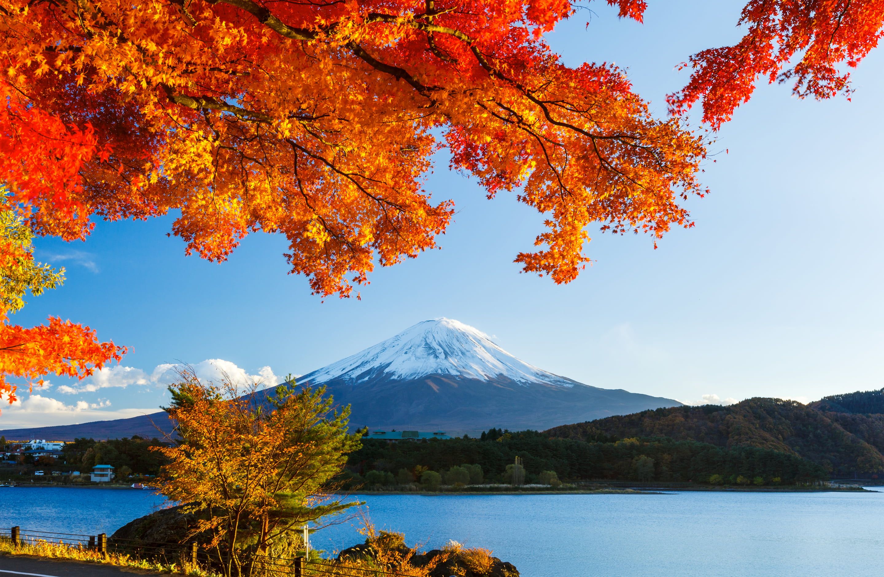 Mt. Fuji, Japan #autumn #forest the sky #leaves #snow #trees #lake #Japan #mountain #Fuji K #wallpaper #hdwallpaper #des. Mountain wallpaper, HD wallpaper, Fuji