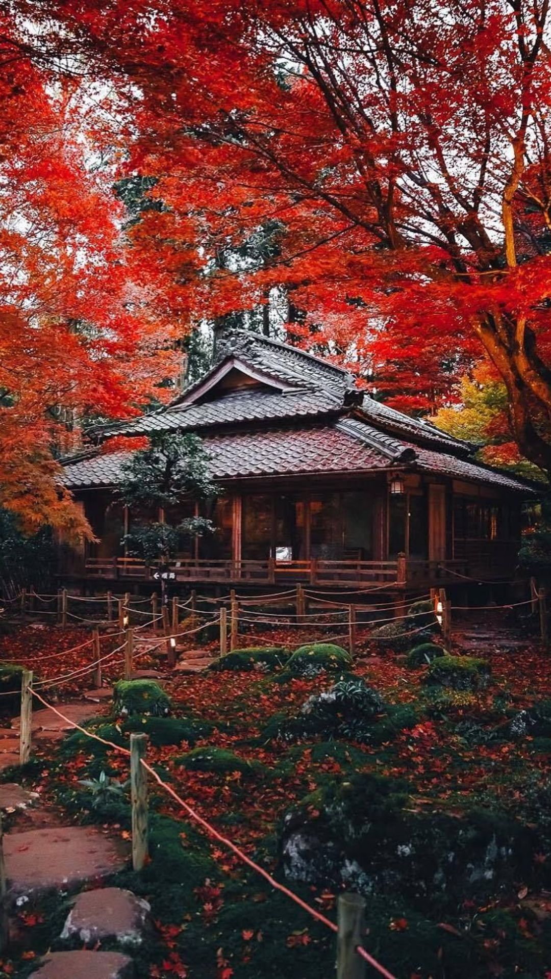 Autumn Wallpaper Autumn Background Download