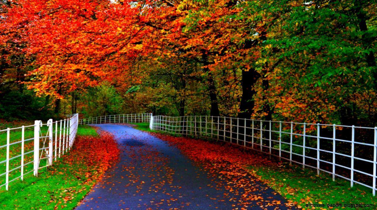 Nature Autumn HD WALLPAPER