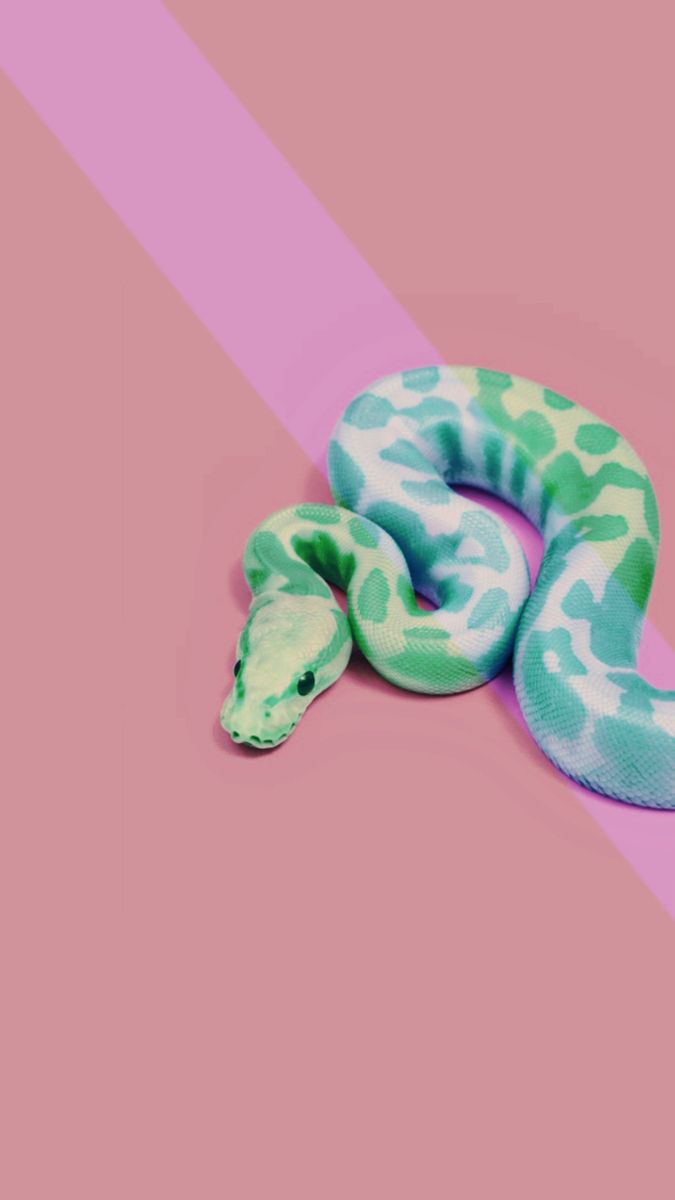 This Is My Lock Screen! Aesthetic Pink Green Snake Wallpaper! Not My Photo Btw. Also, Don't Me I Made This In Like 2 Minutes Flat Bc I. Обои, Обои для телефона