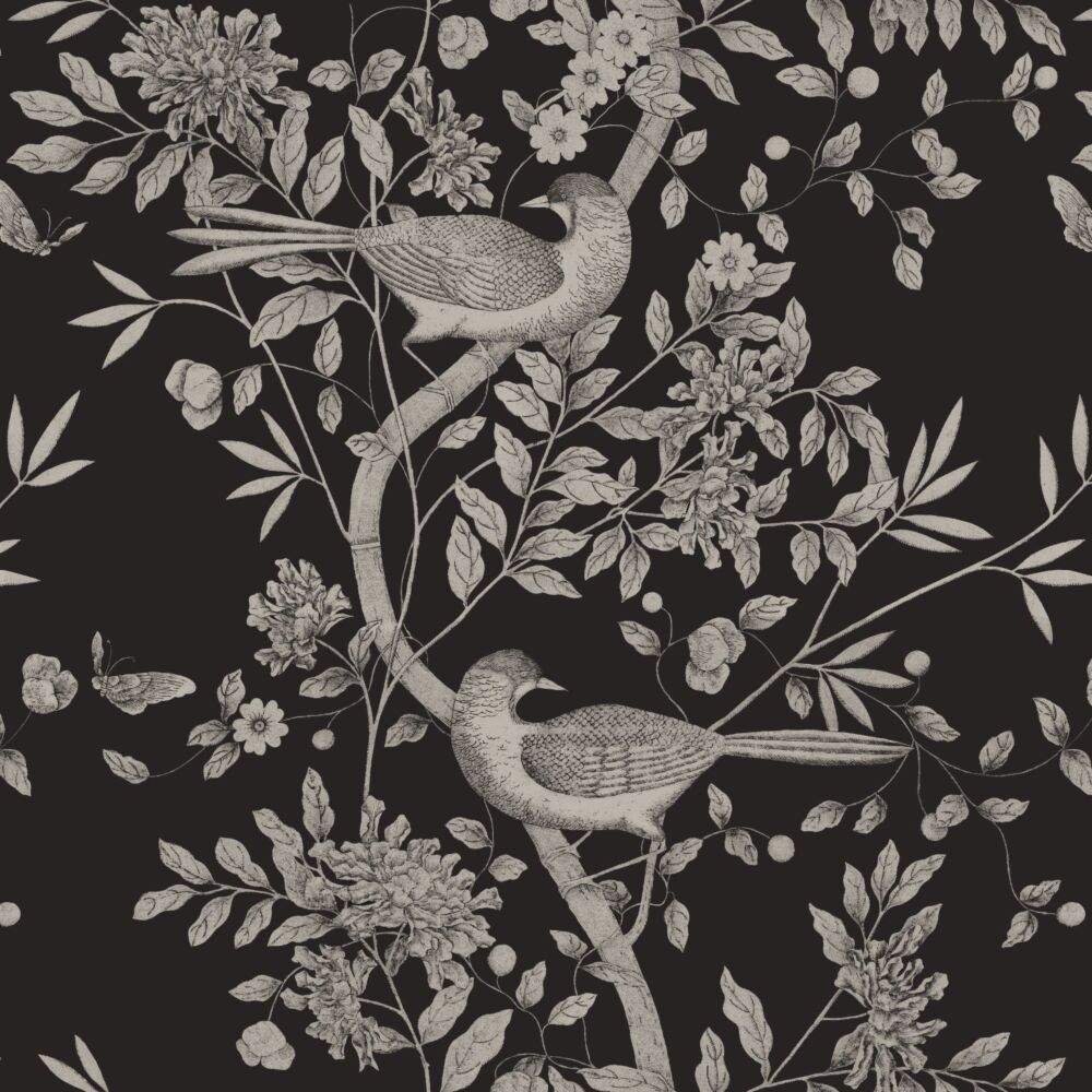 wallpaper bird engraving black