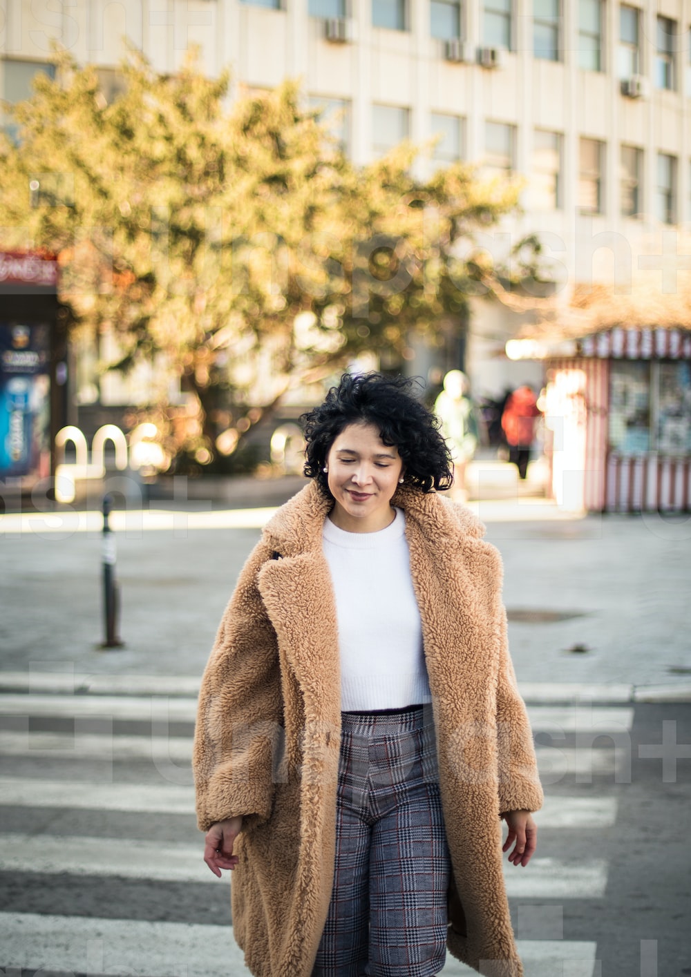 Crosswalk Picture. Download Free Image