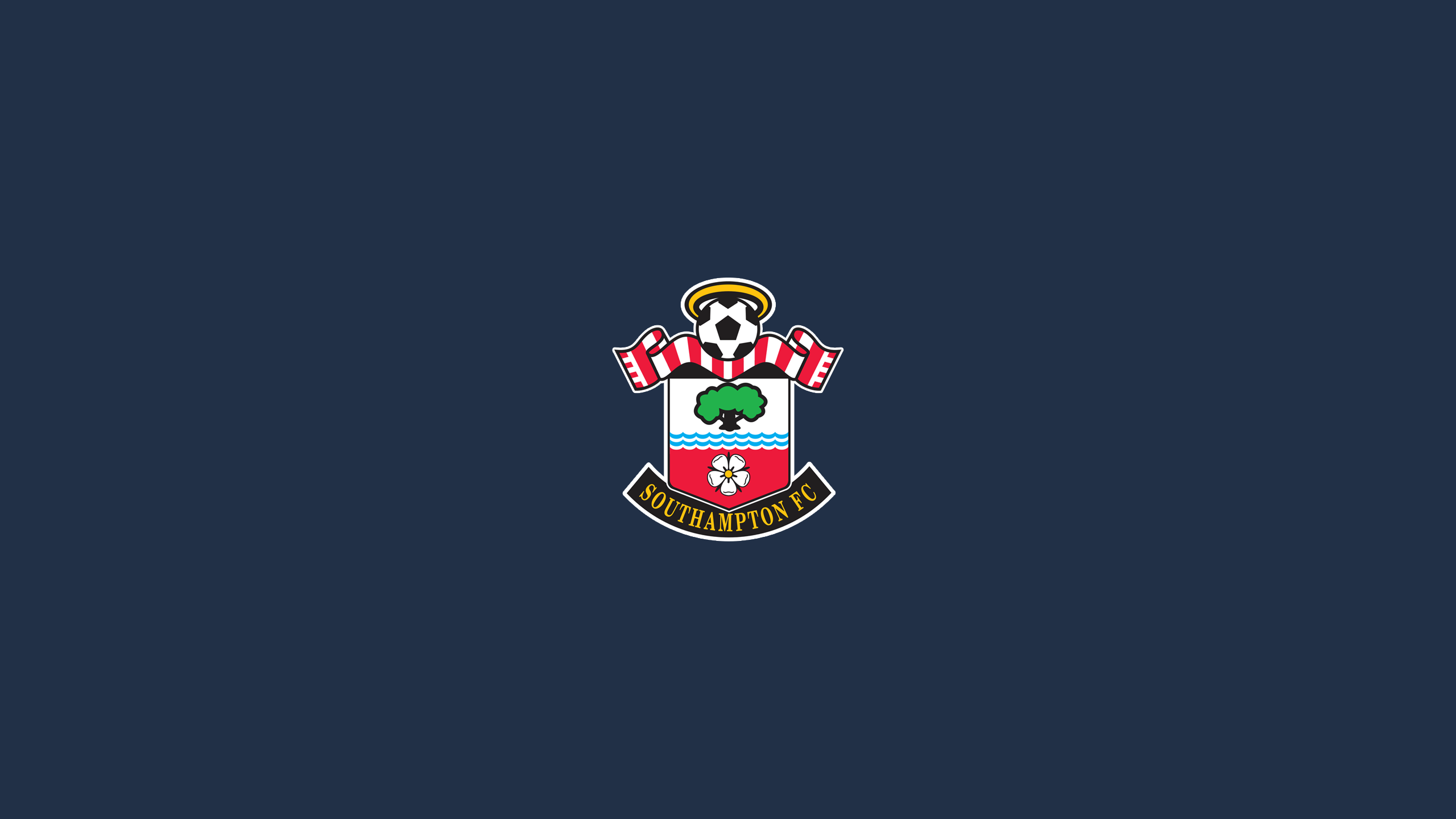 Southampton FC Desktop Wallpapers - Wallpaper Cave