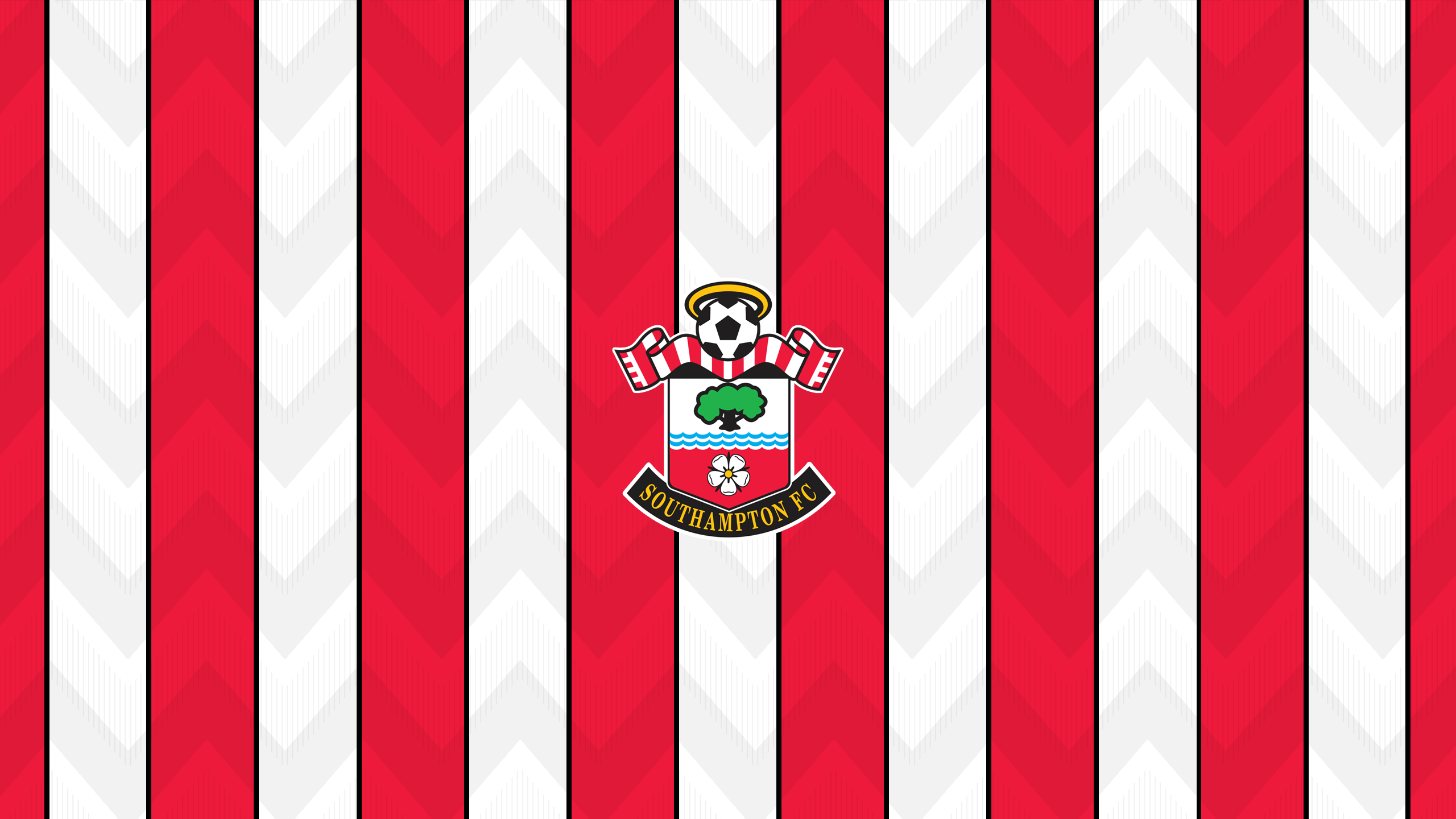 Southampton FC Desktop Wallpapers - Wallpaper Cave