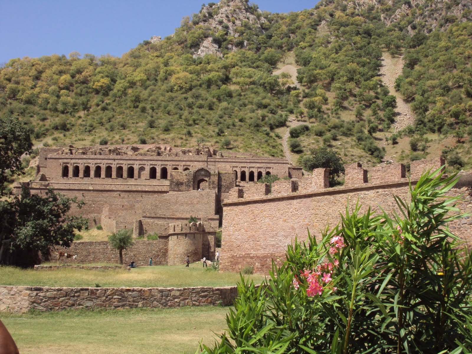 BHANGARH Reviews, Tourist Places, Tourist Destinations, Tourist Information, BHANGARH Information, India