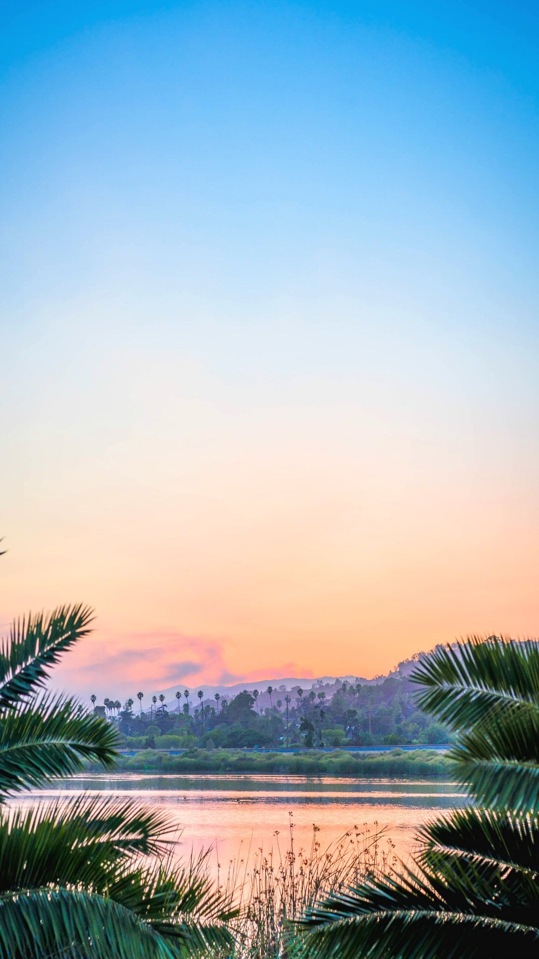 Pretty Phone Wallpaper and Background to Download!