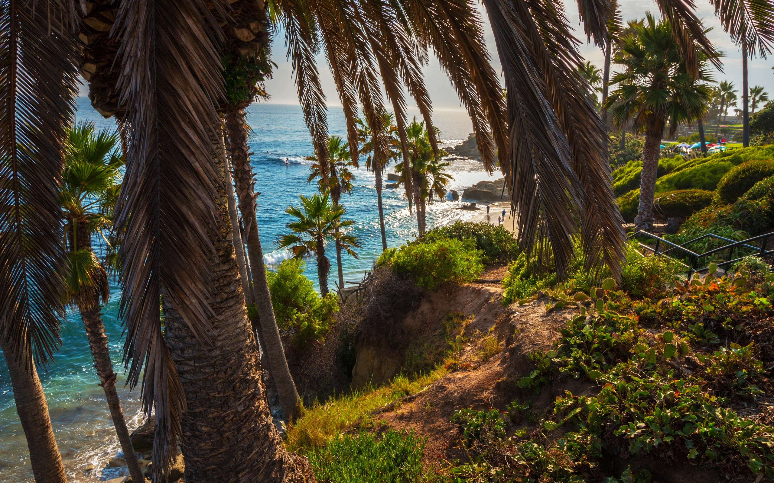 Download wallpaper Laguna Beach, ocean, palms, coast, California, USA, America for desktop with resolution 2560x1600. High Quality HD picture wallpaper