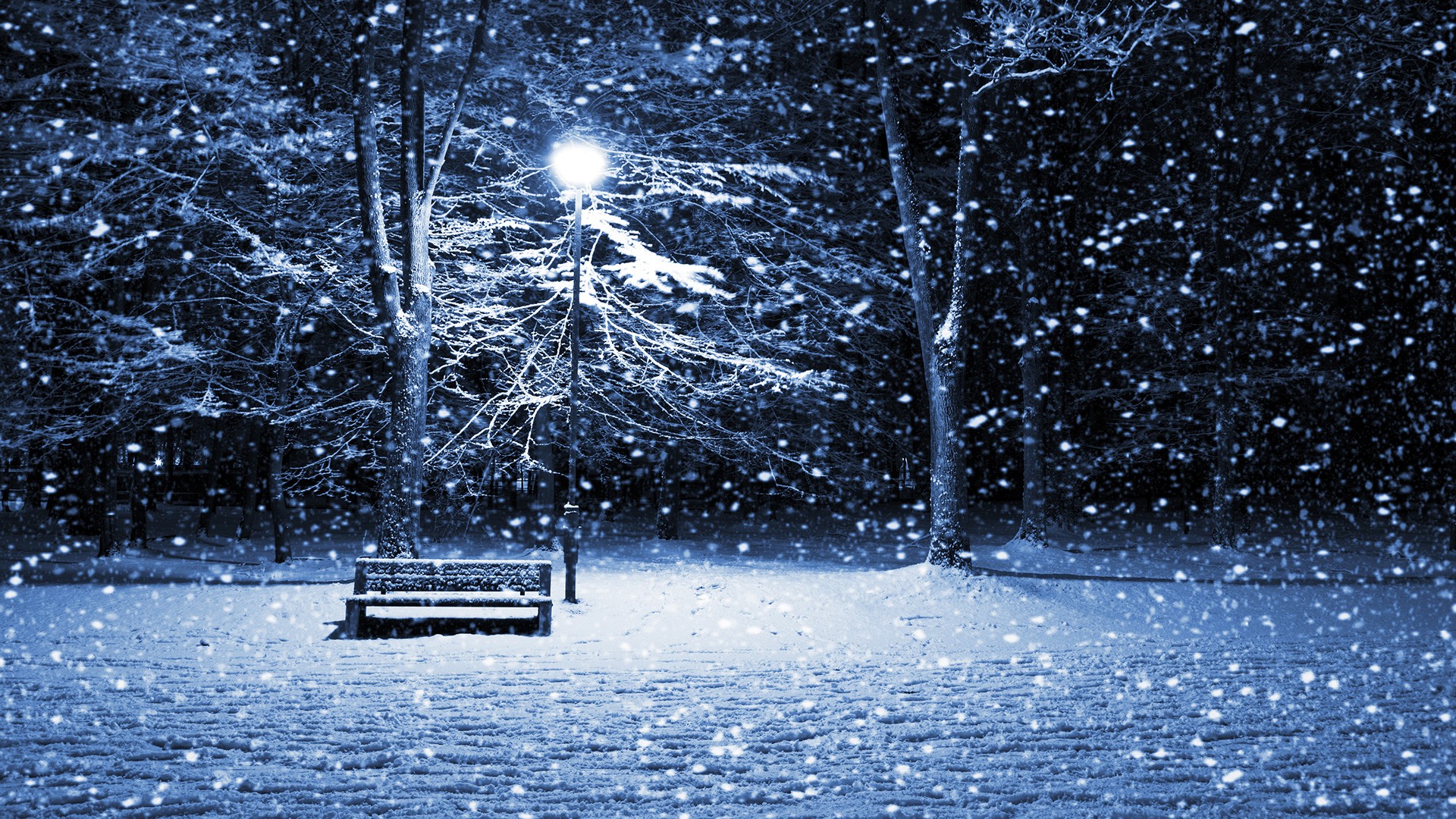 Snow Wallpaper, High Definition, High Quality, Widescreen