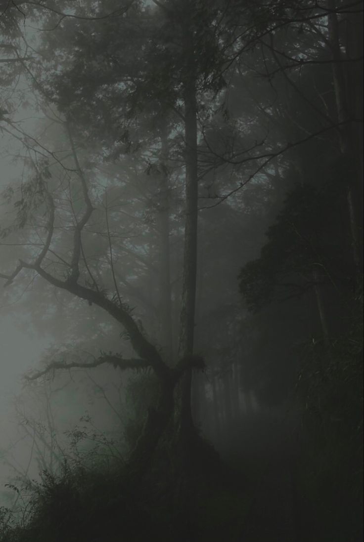 grunge fairycore forest. Dark forest aesthetic, Fantasy landscape, Dark green aesthetic