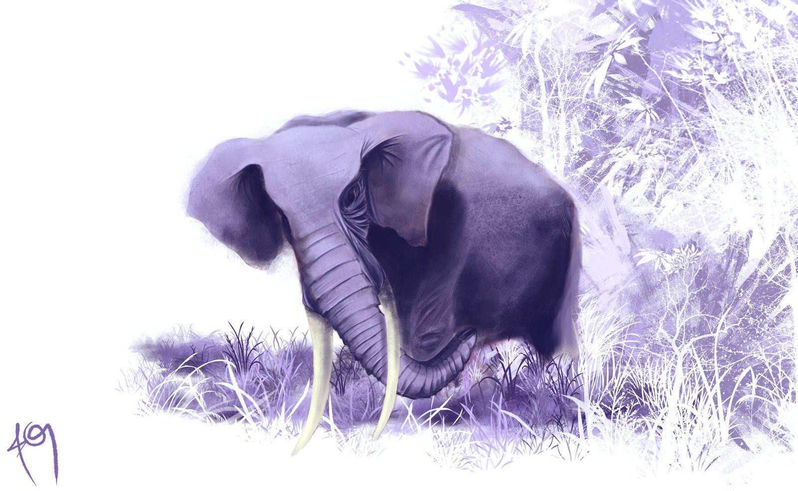 Purple Elephant Desktop Wallpaper & Background Beautiful Best Available For Download Purple Elephant Desktop Photo Free On Zicxa.com Image